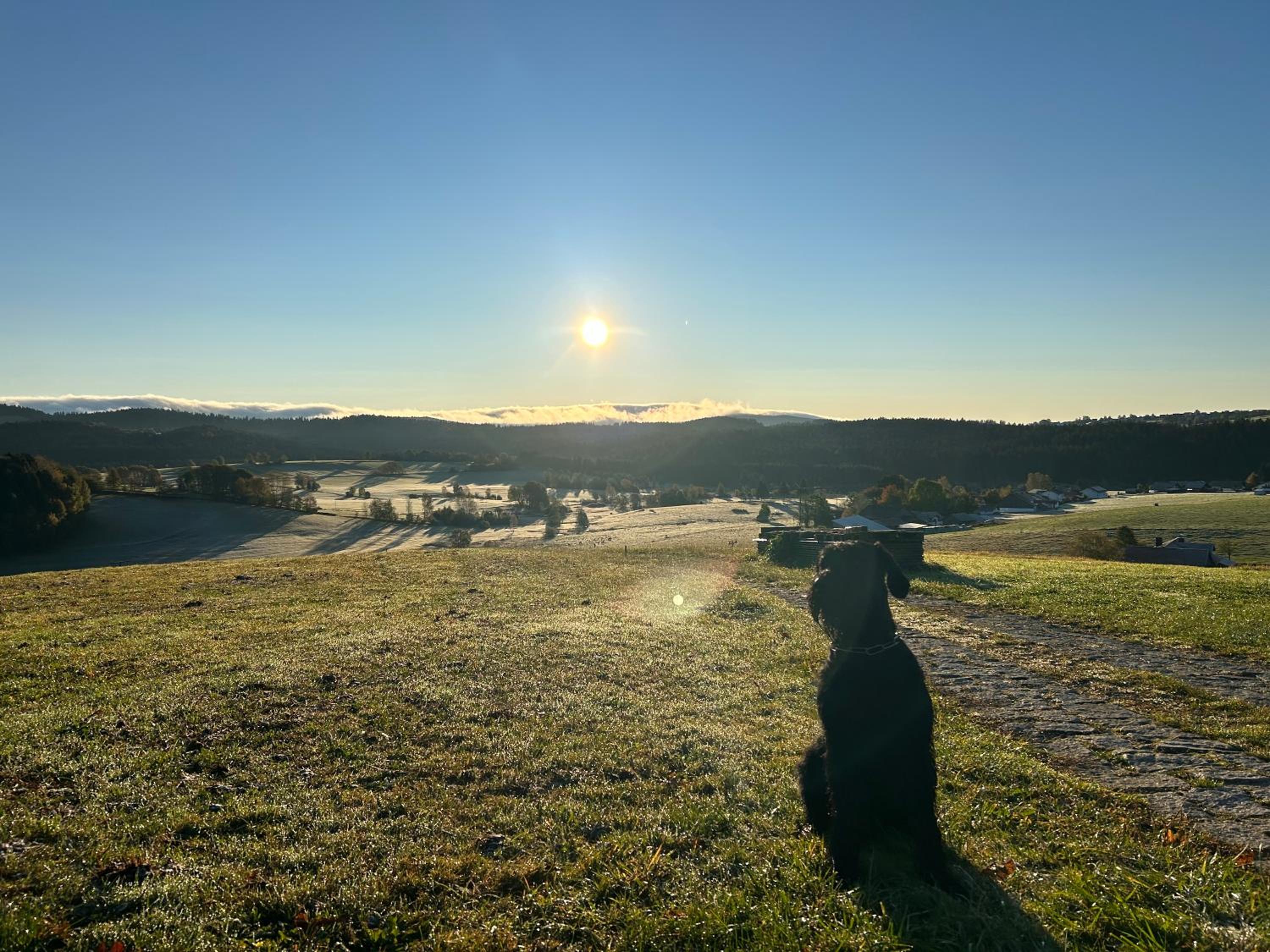 FeWo Jule im Predigtstuhl Resort