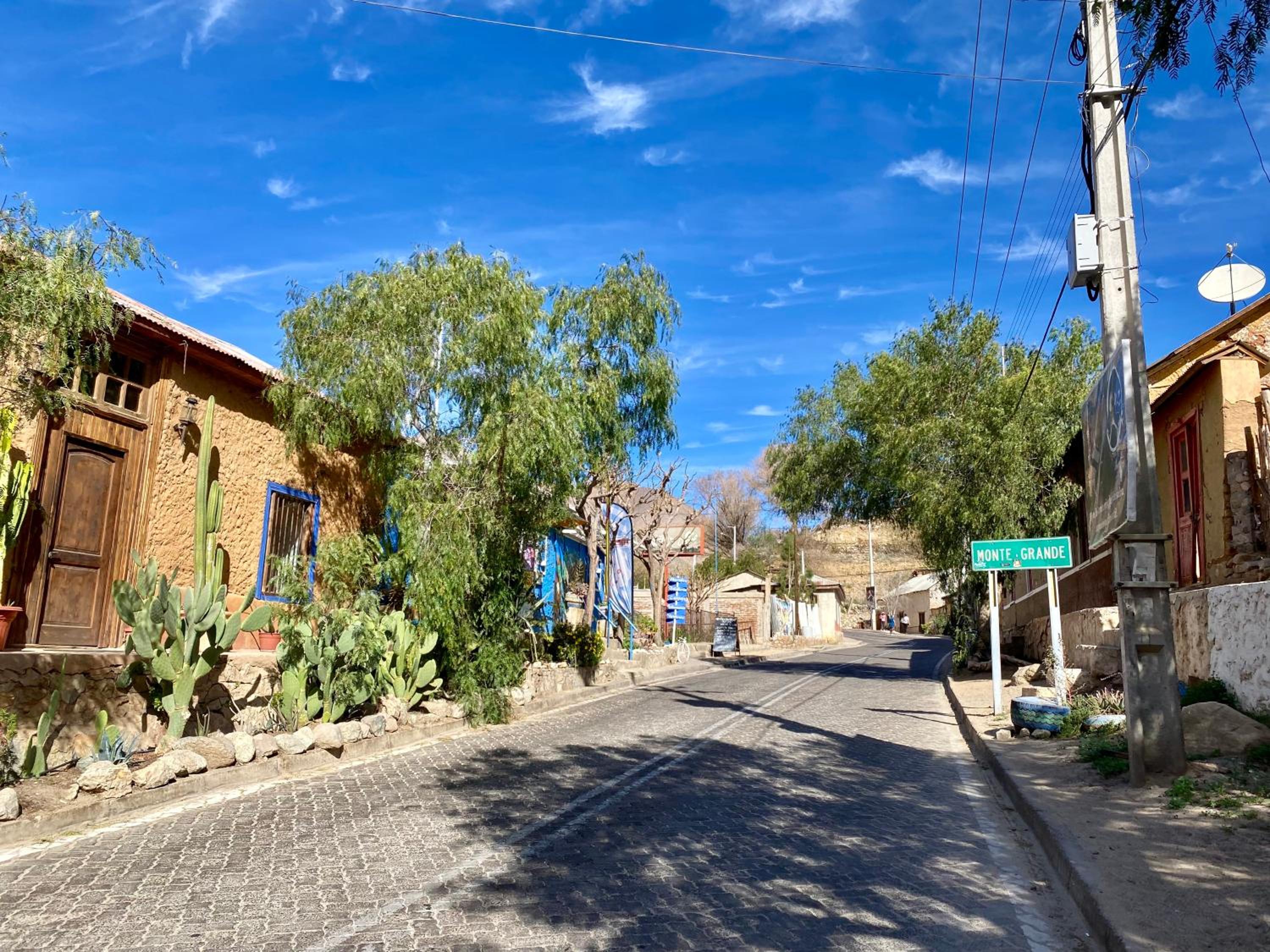 La Casa entre los Árboles en el Valle de Elqui Montegrande