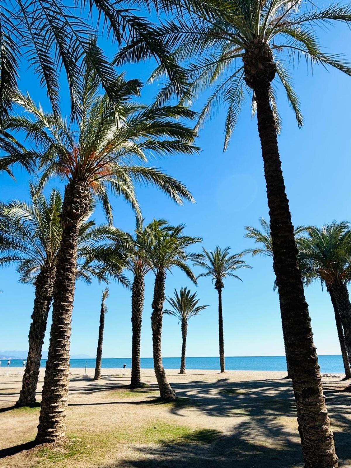Chalet con piscina privada en primera línea de playa