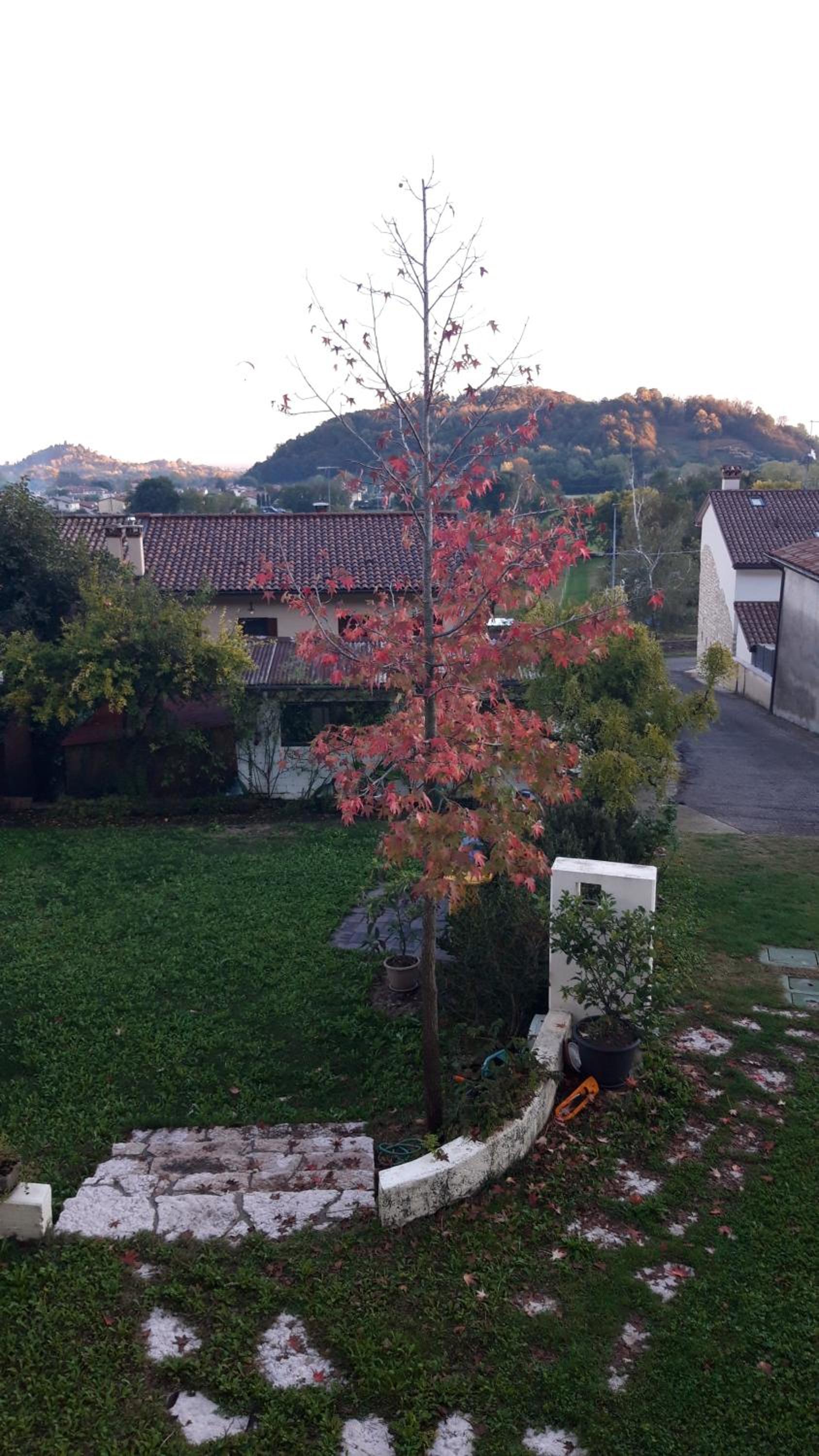 Casa Paola