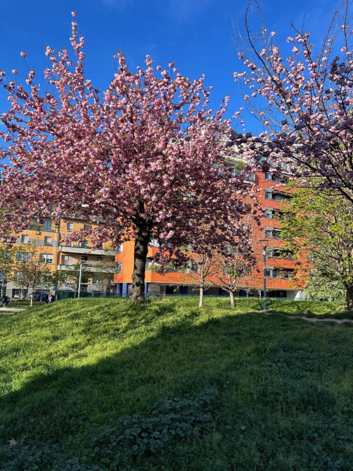 Chiara Guest House 18 - M4 Metro blu