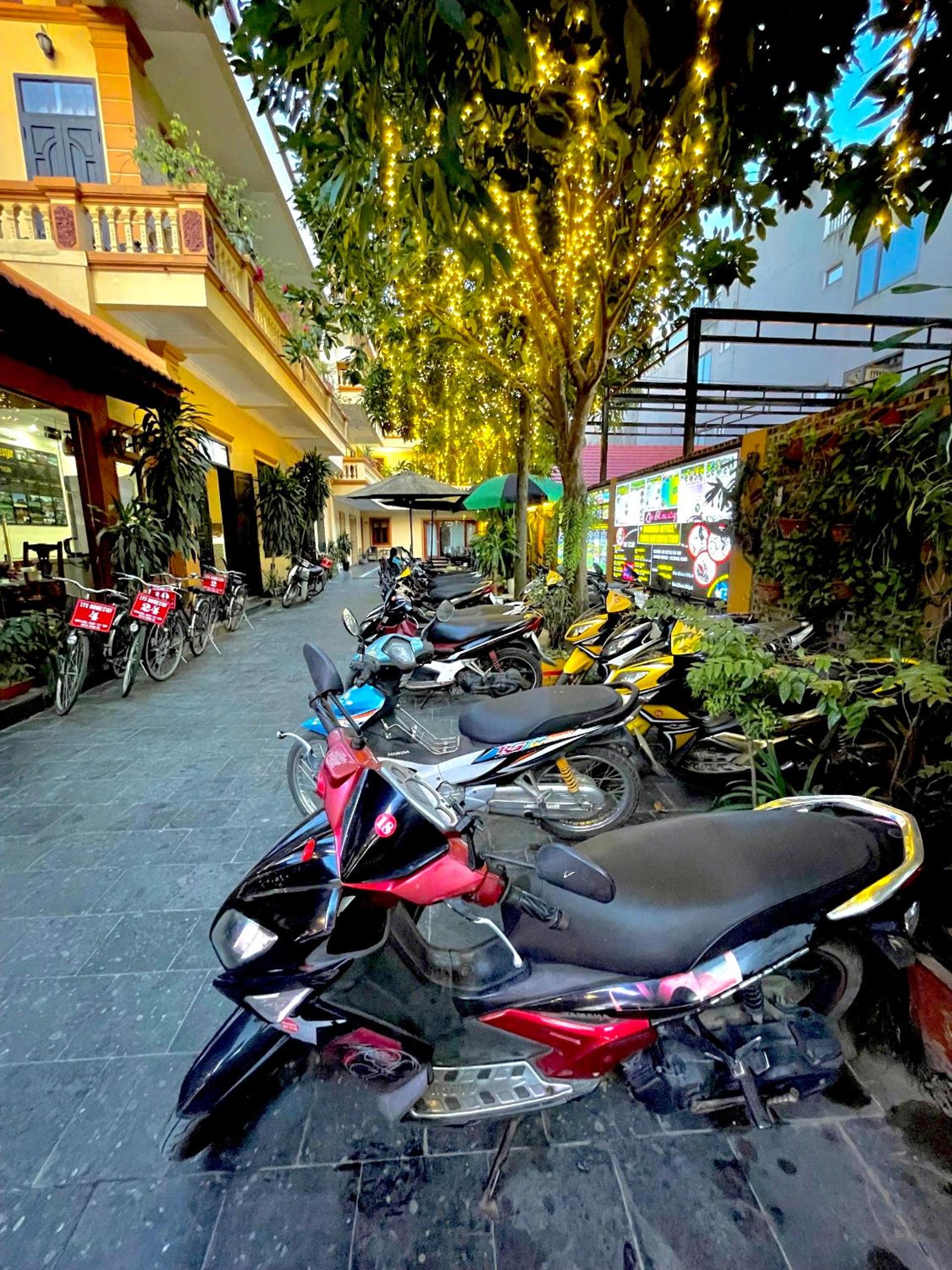 Lys Homestay