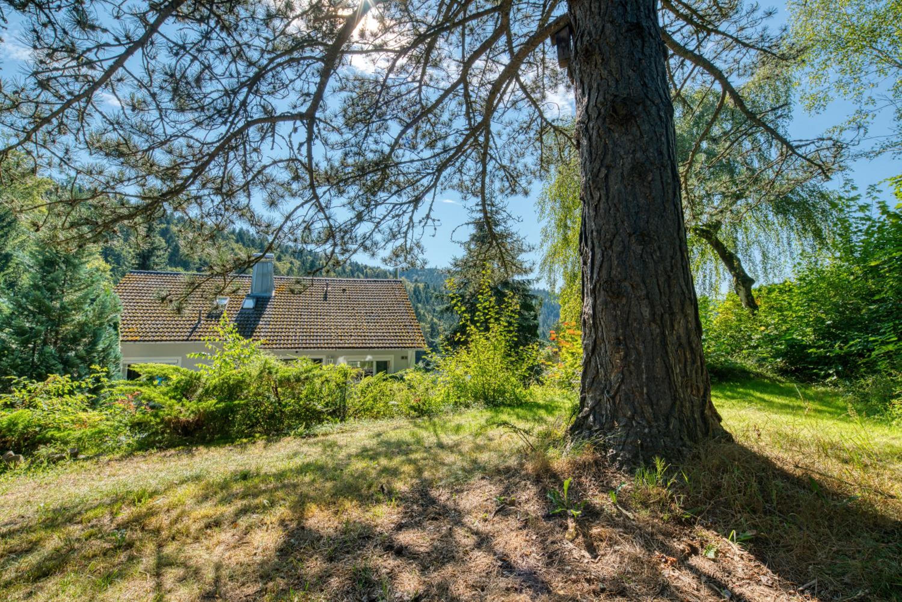 Penthouse mit Aussicht über den Wald