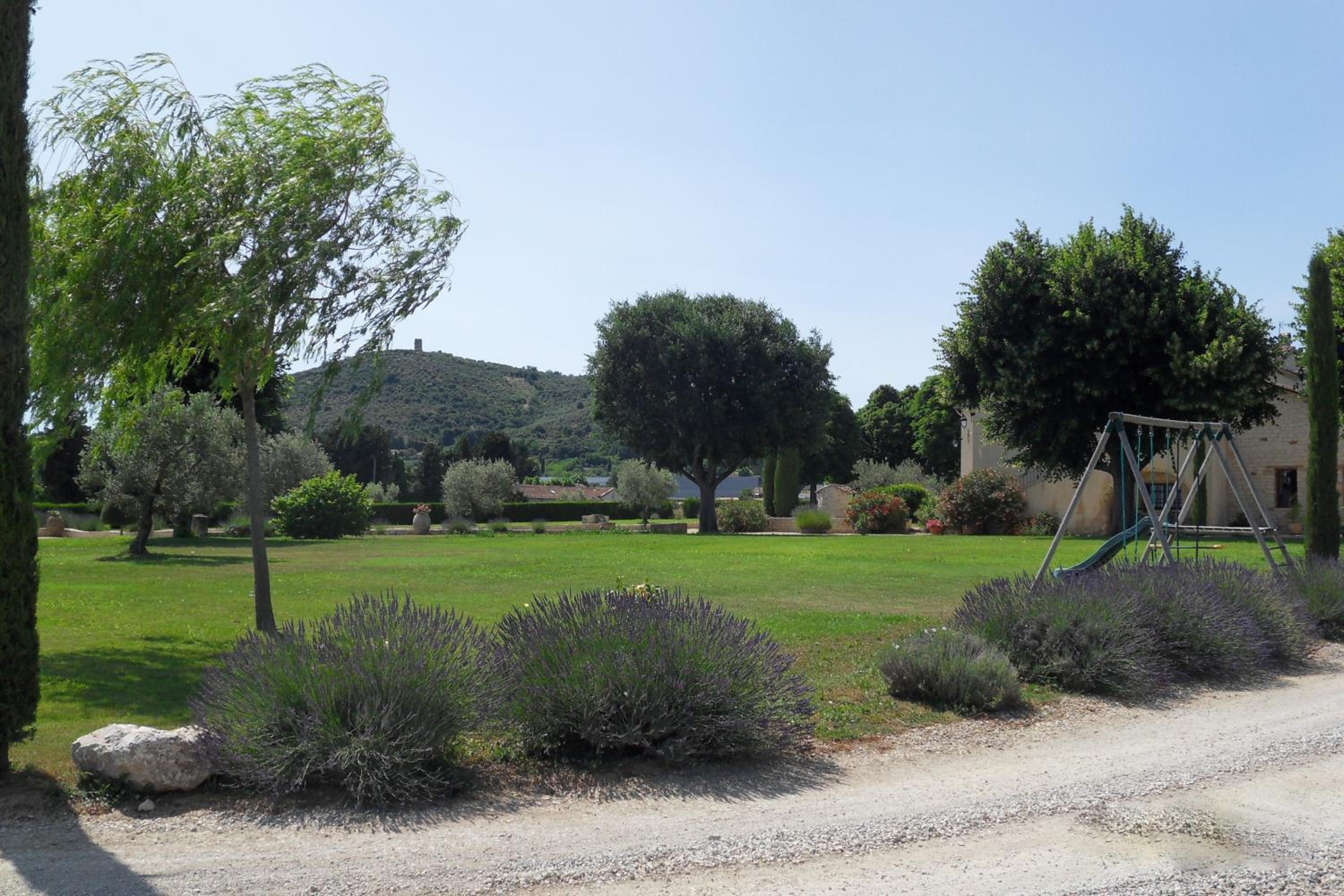 Photo 42