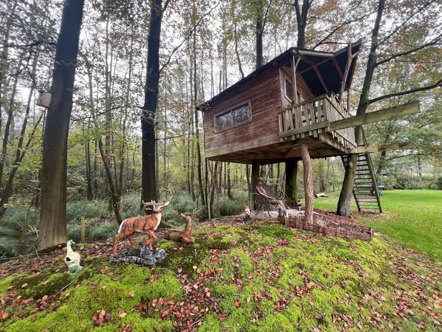 Unieke chalet aan het water