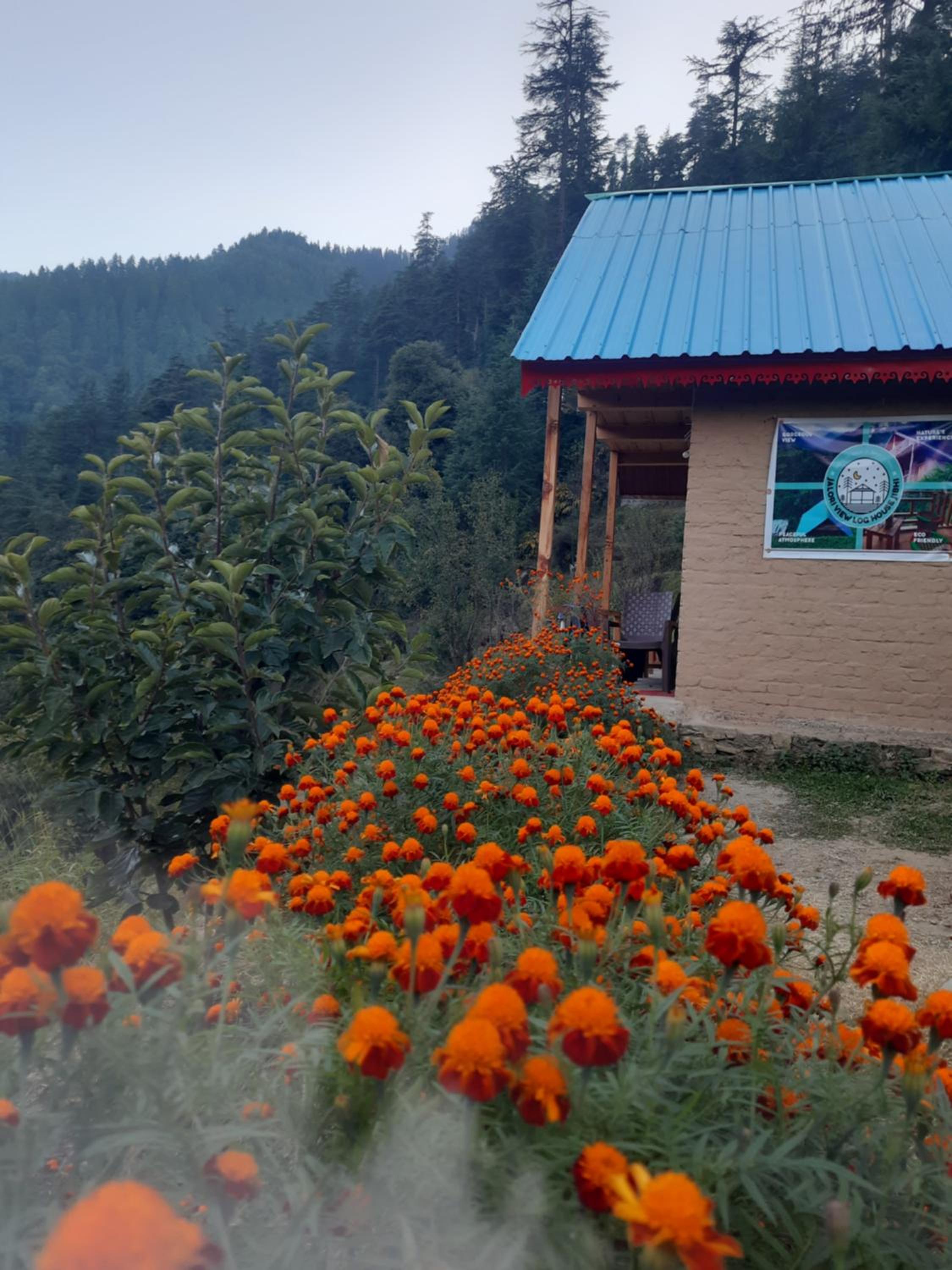 Jalori View Log House Jibhi view 2