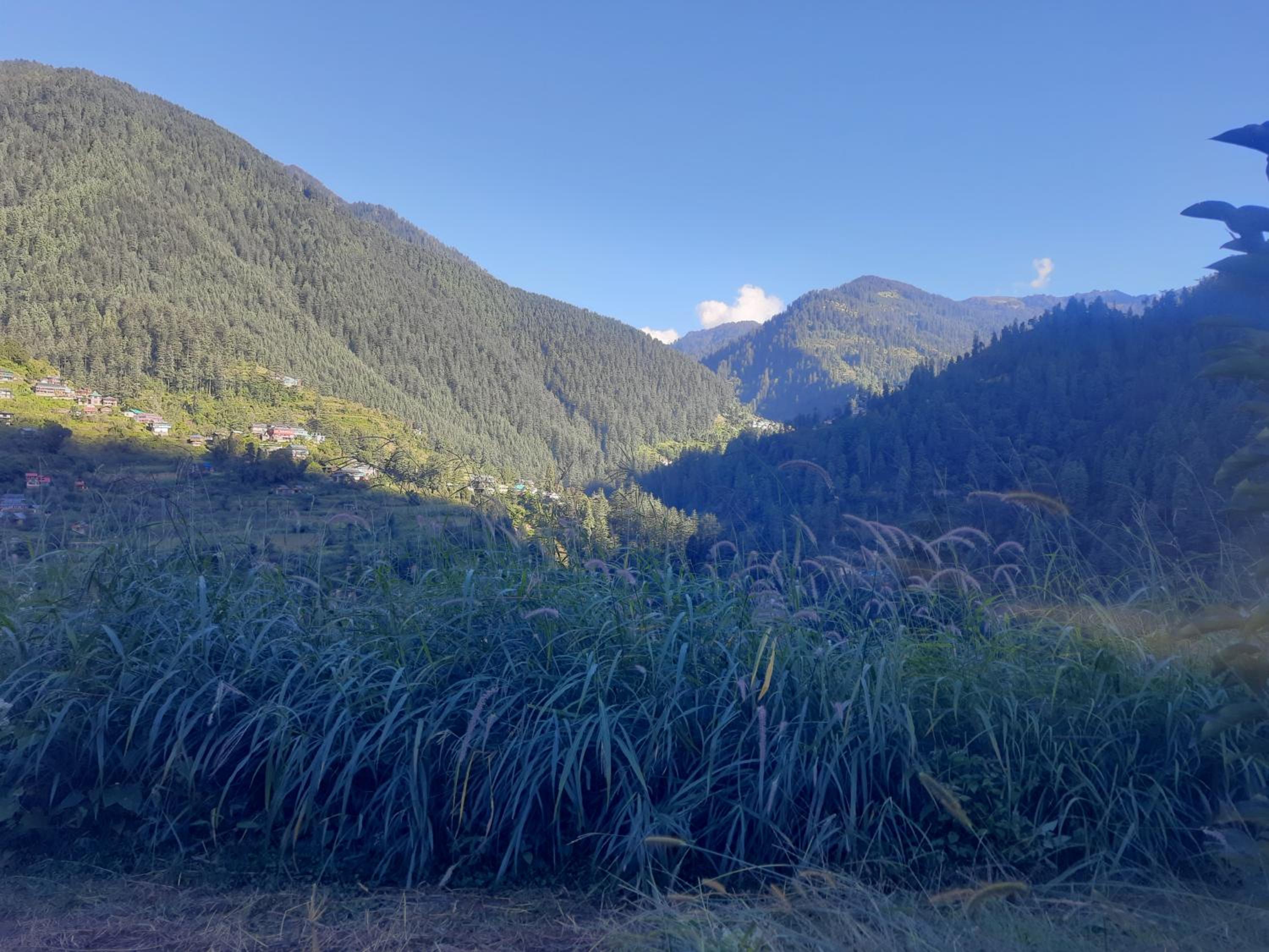 Jalori View Log House Jibhi view 3