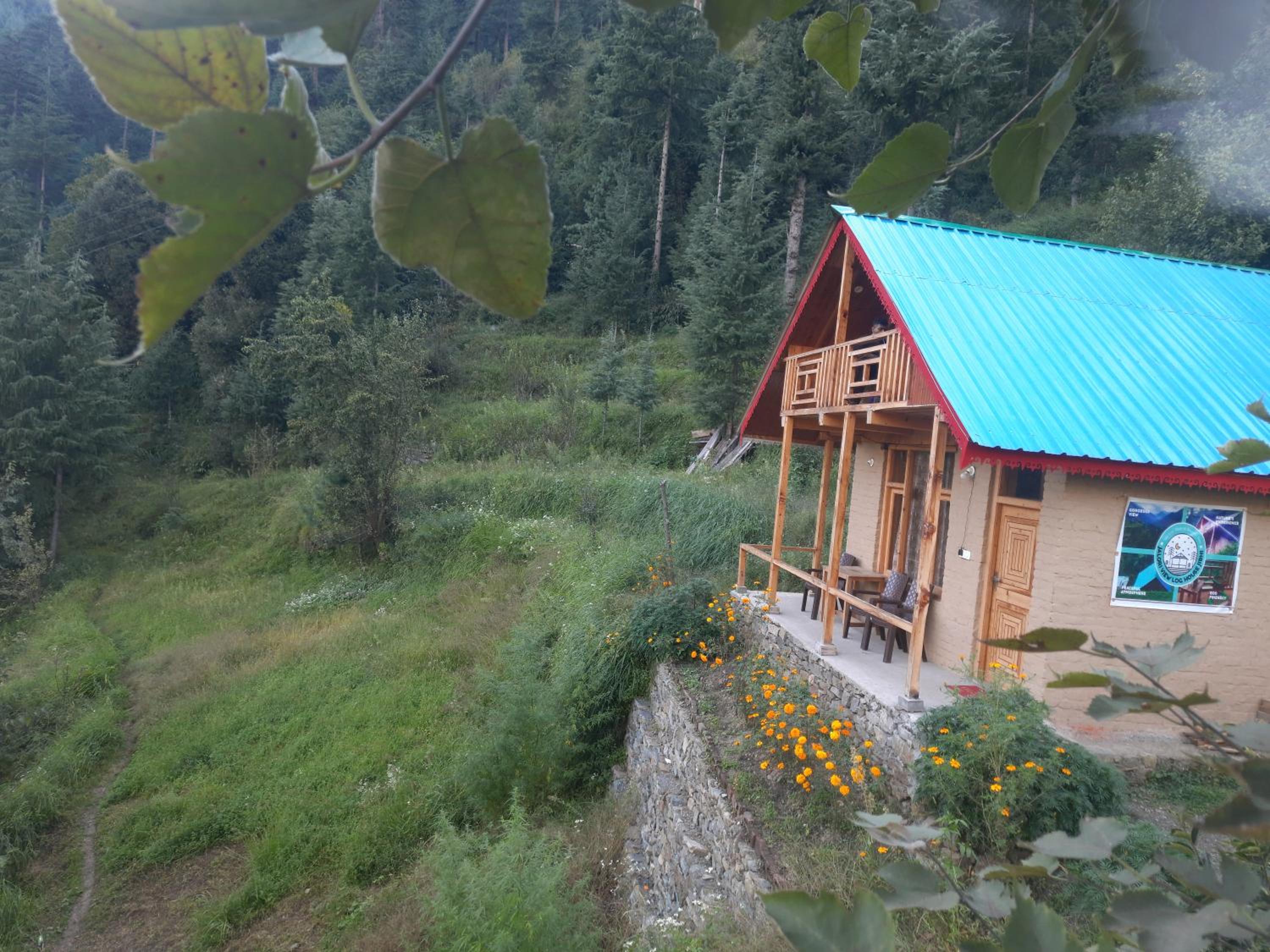 Jalori View Log House Jibhi view 4
