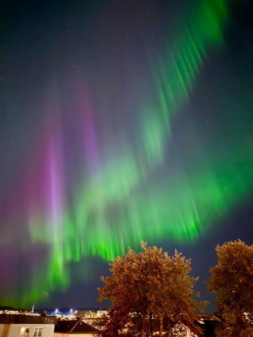 Mye for pengene, sentralt i Narvik! view 2