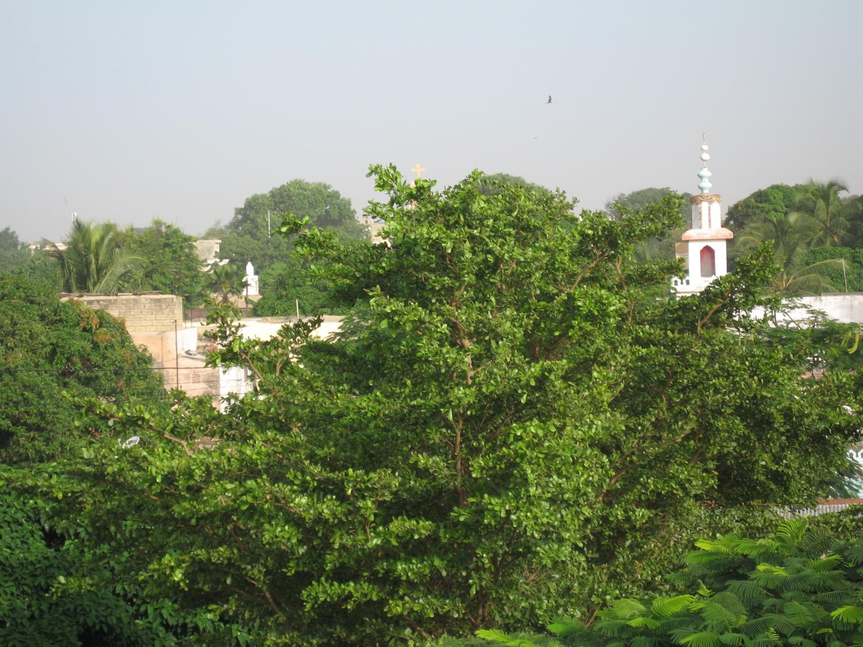 KEUR MARIE FAYE view 4