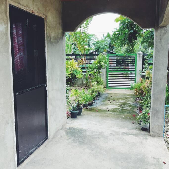 Apol's Home Townside view 2