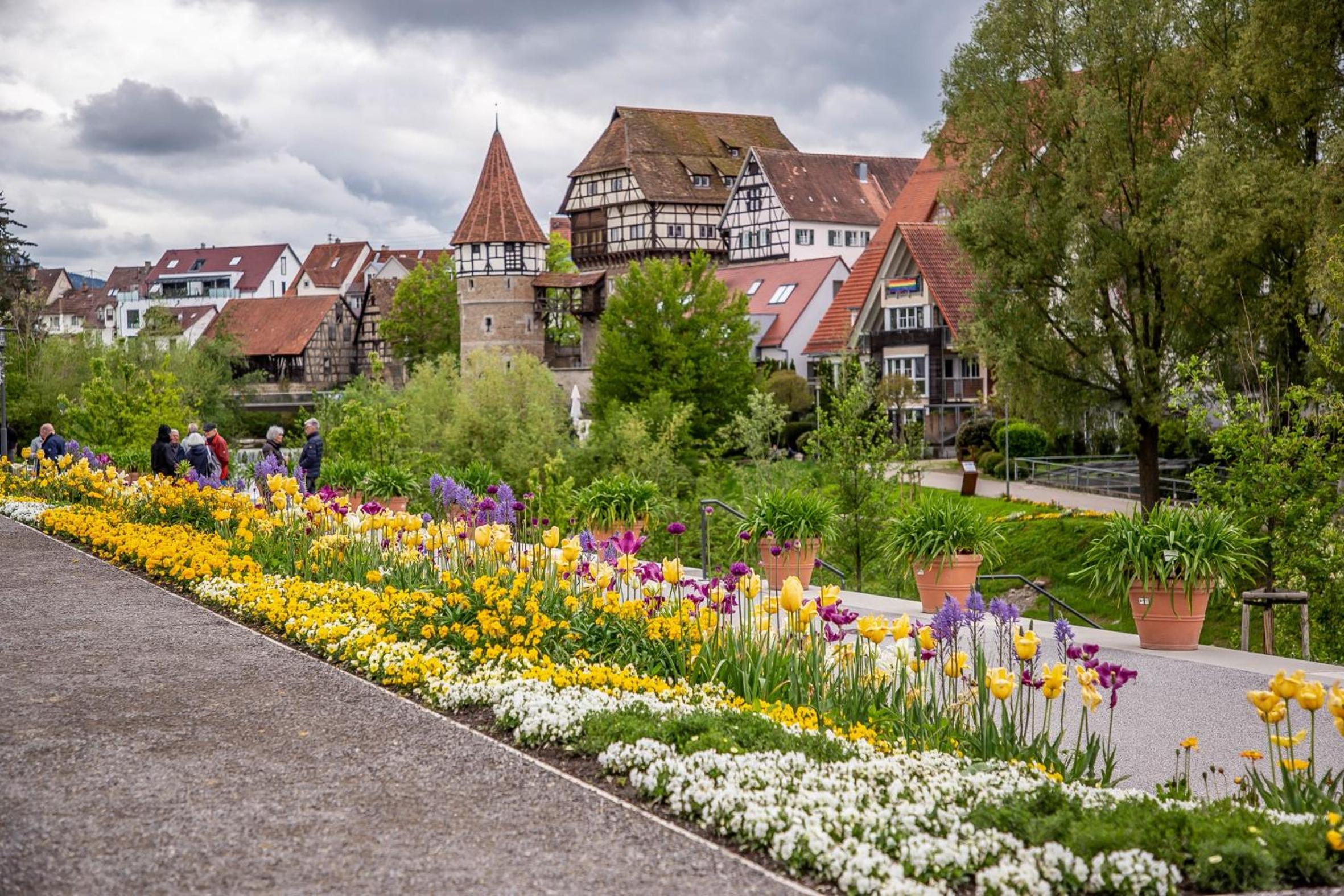 Schlafzimmer 1 mit Top Aussicht über Weilstetten Balingen