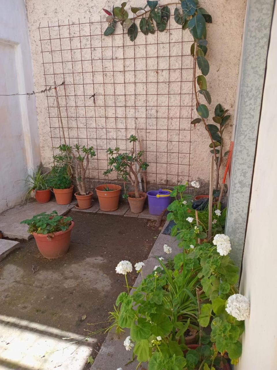 Departamento en zona céntrica
