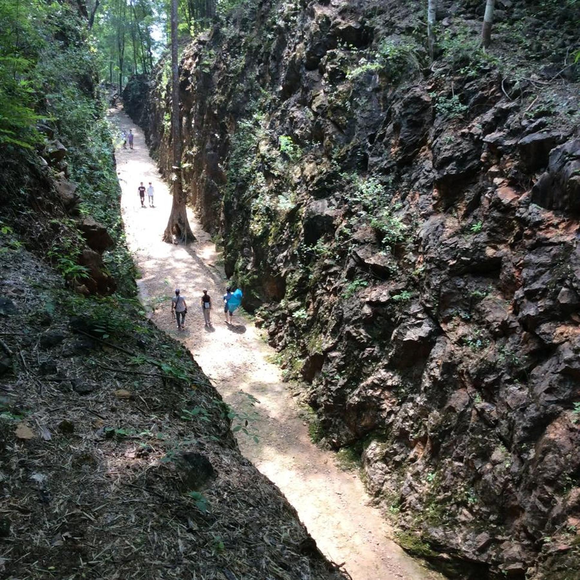 Photo 41