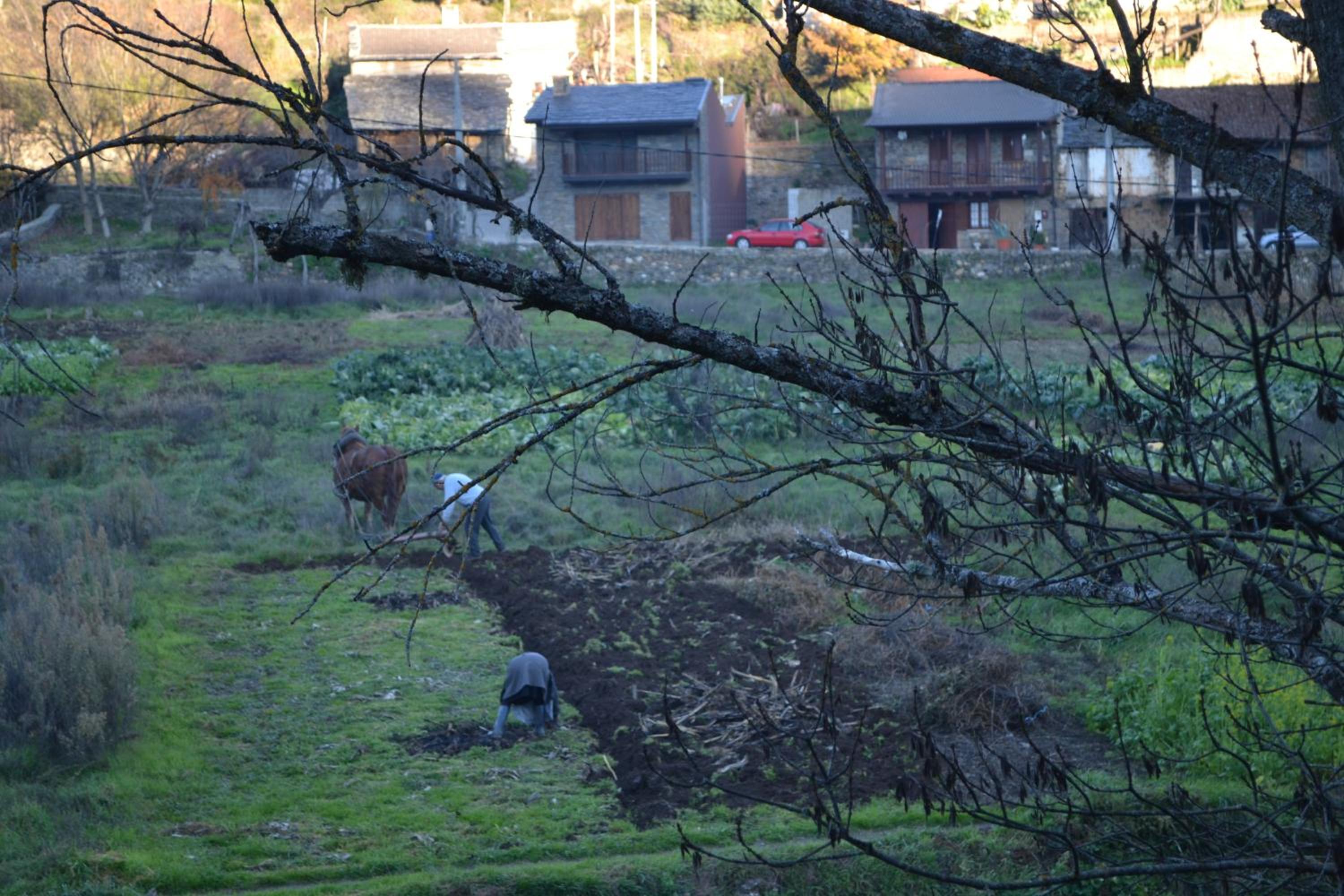 Casa de Onor view 5
