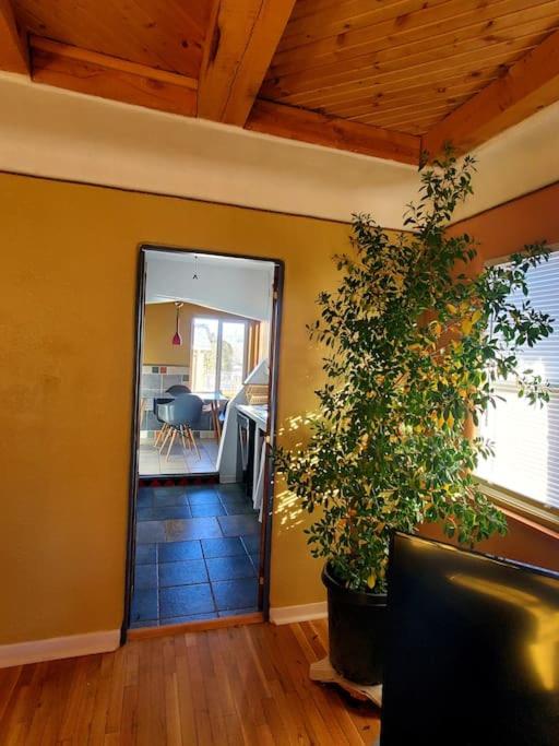 Lovely 2BR Pet Friendly Home in Heart of Nob Hill view 5