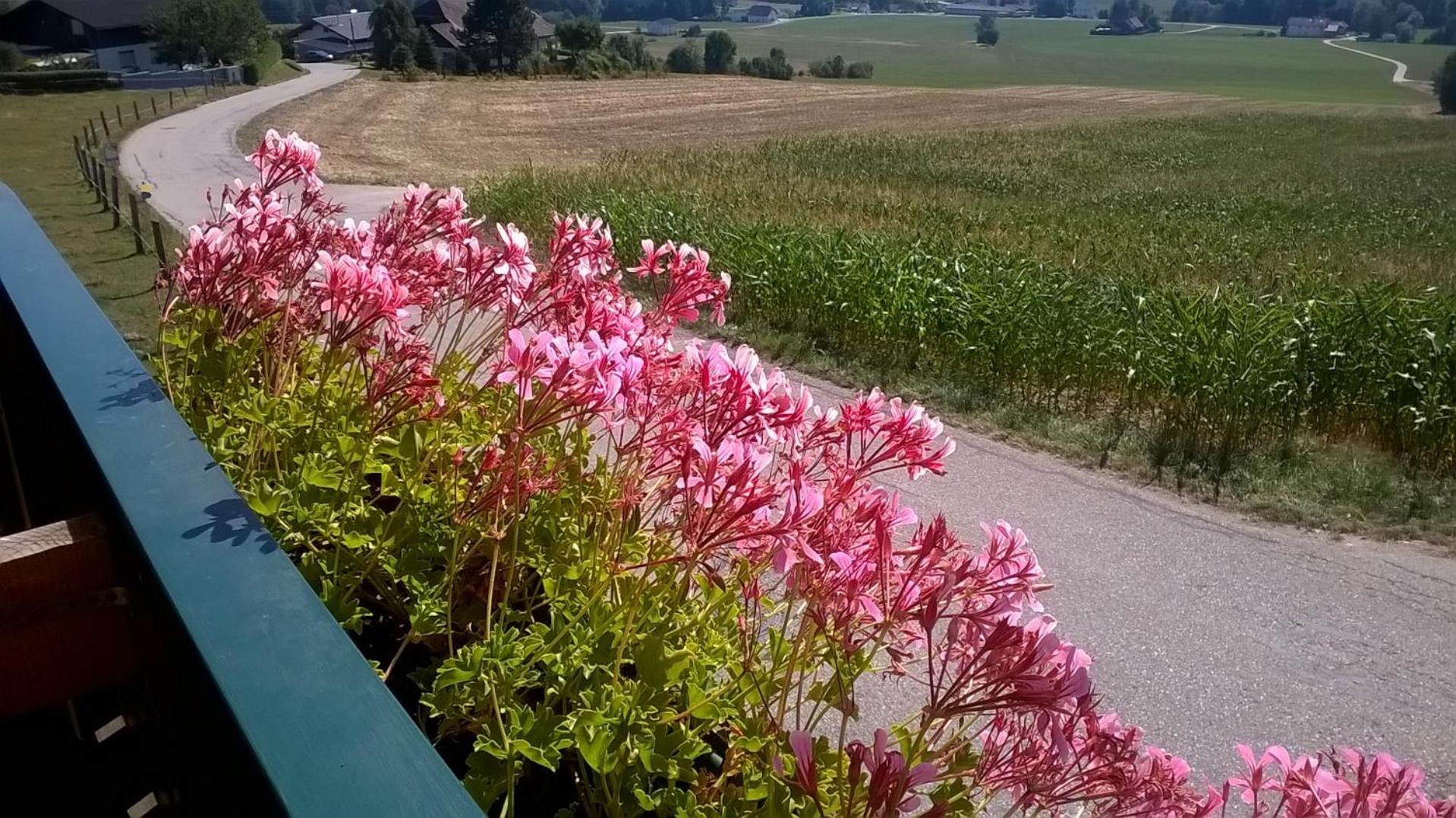 Landhotel SONNENHOF MotorradKrauk