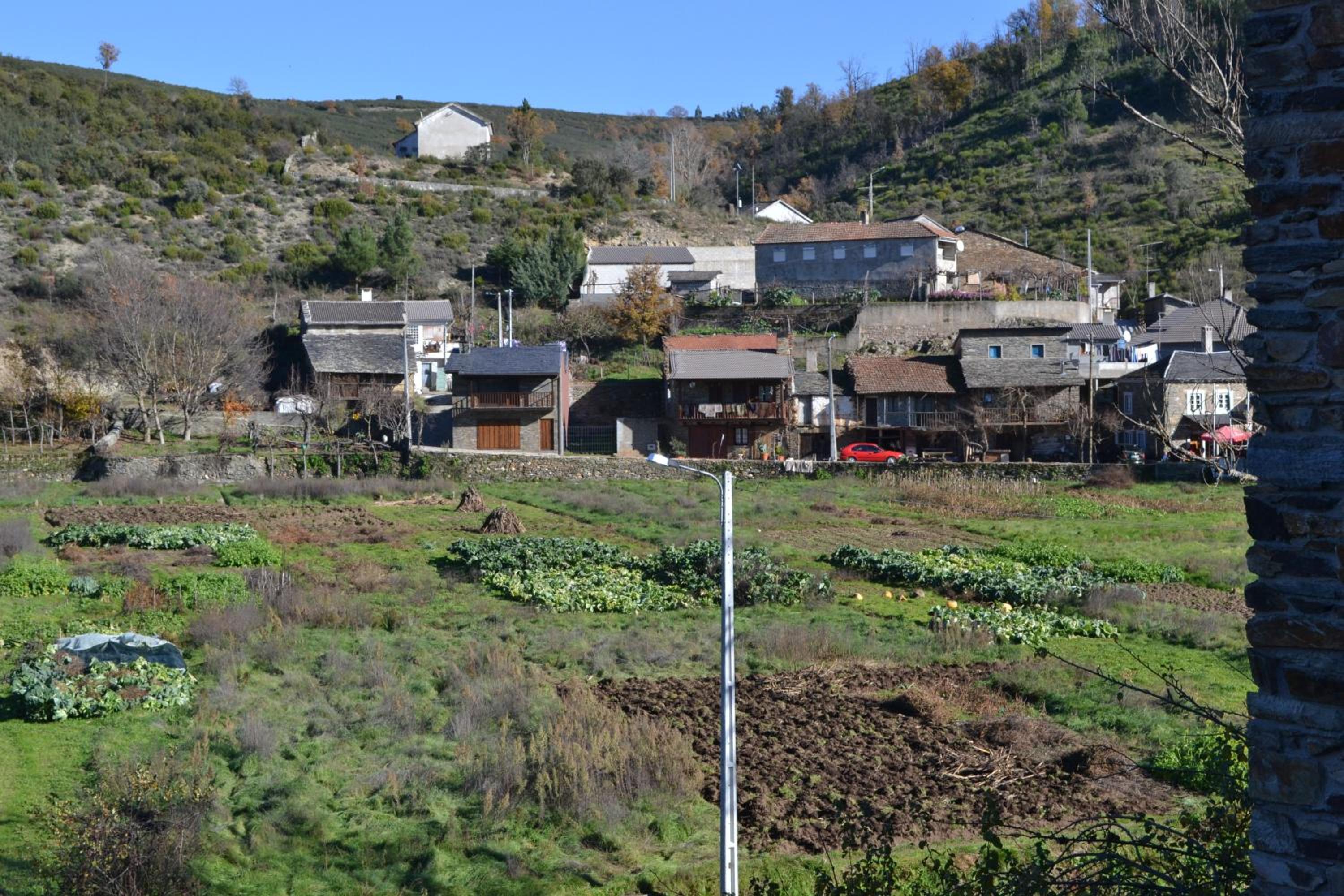 Casa de Onor view 3