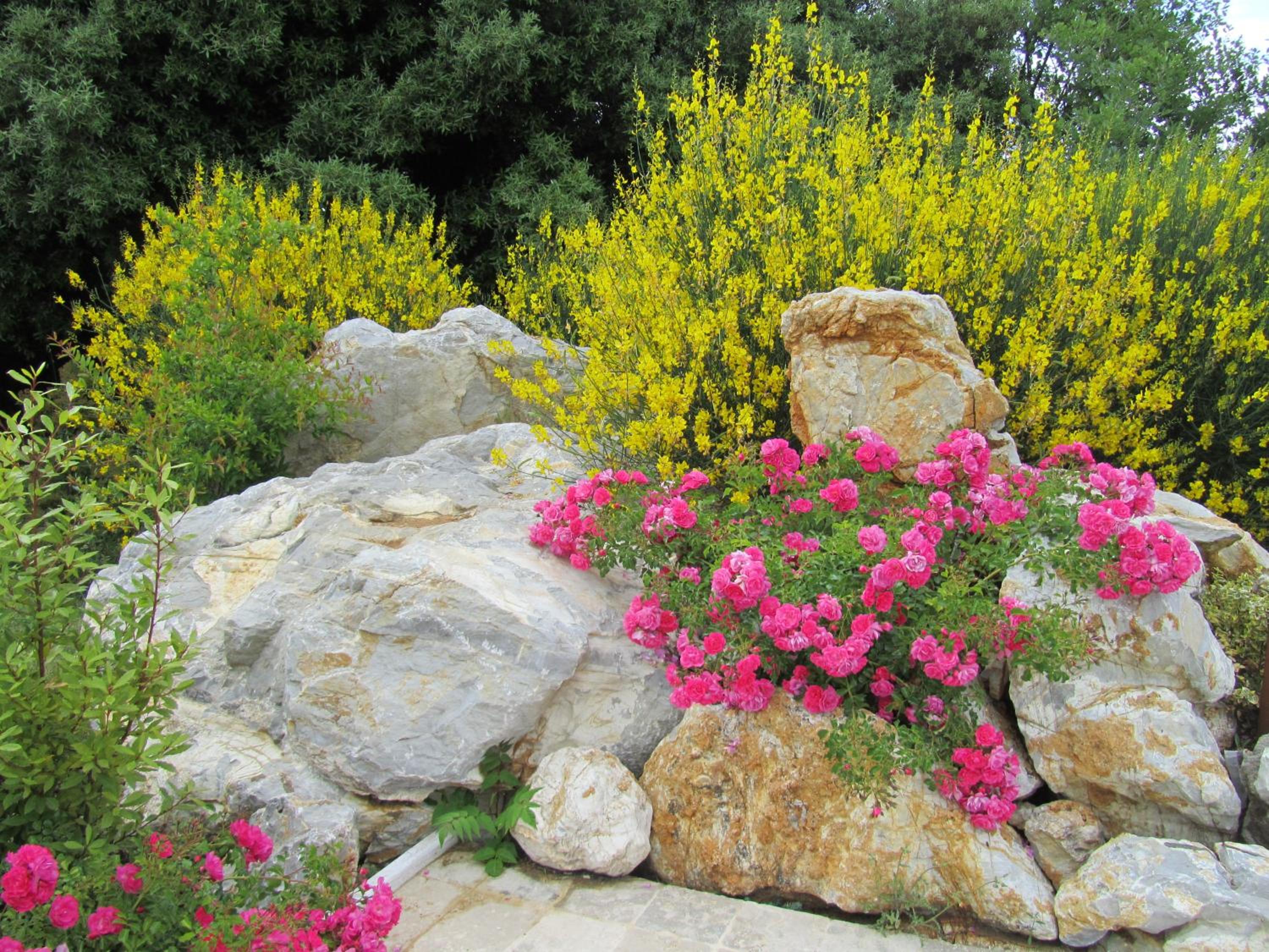 Agriturismo Borghetto Il Montino