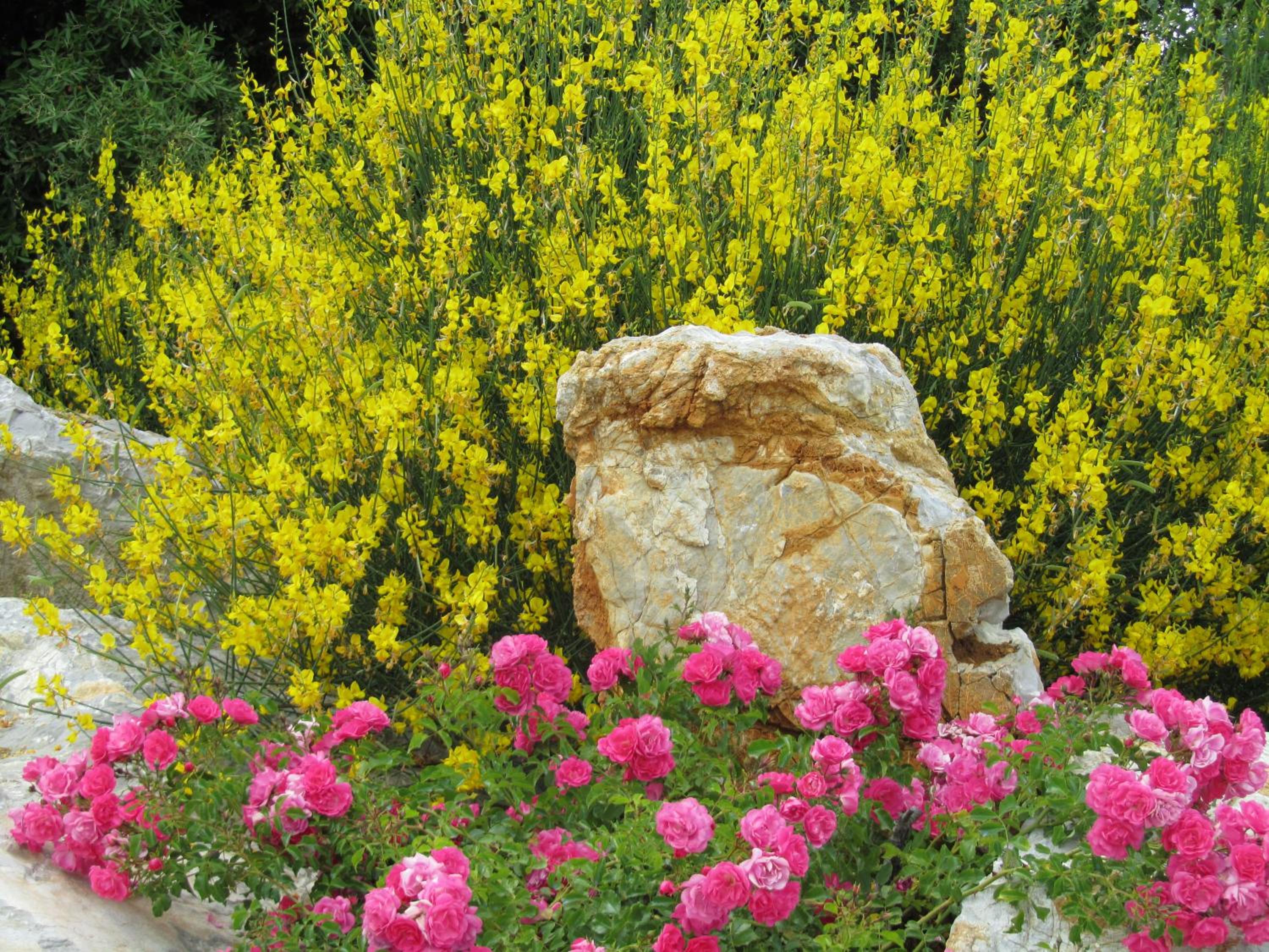 Agriturismo Borghetto Il Montino