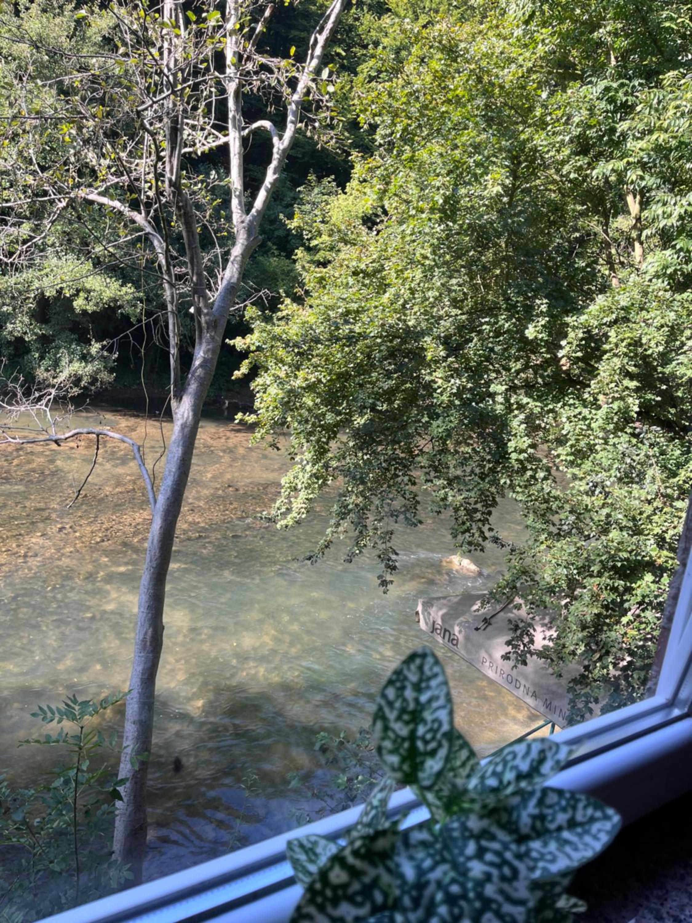 Apartmani Kod Mikija