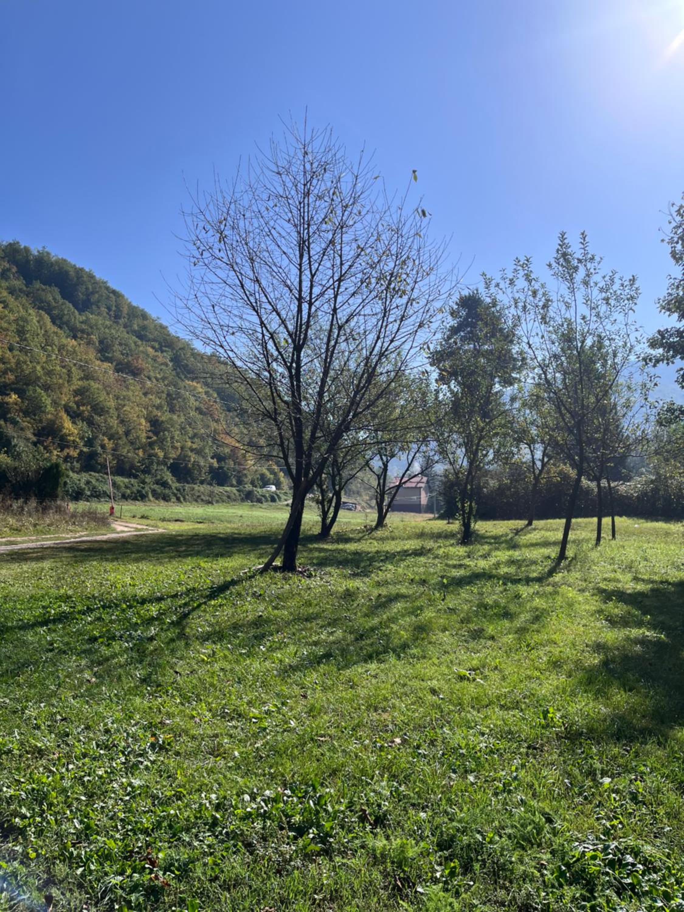 Apartmani Kod Mikija