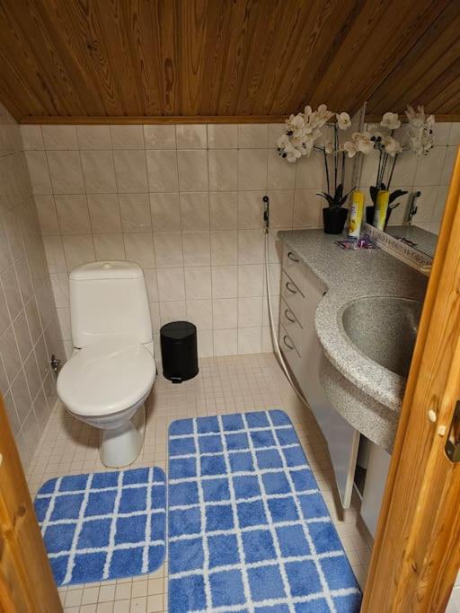 Spacious 3BR Riverside Villa with Private Sauna