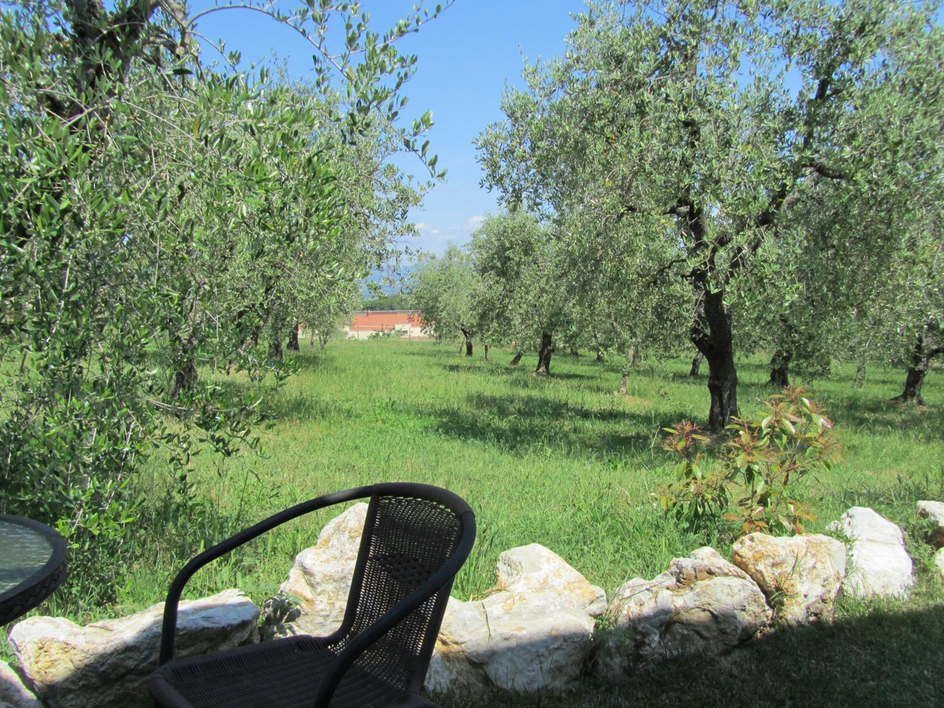 Agriturismo Borghetto Il Montino