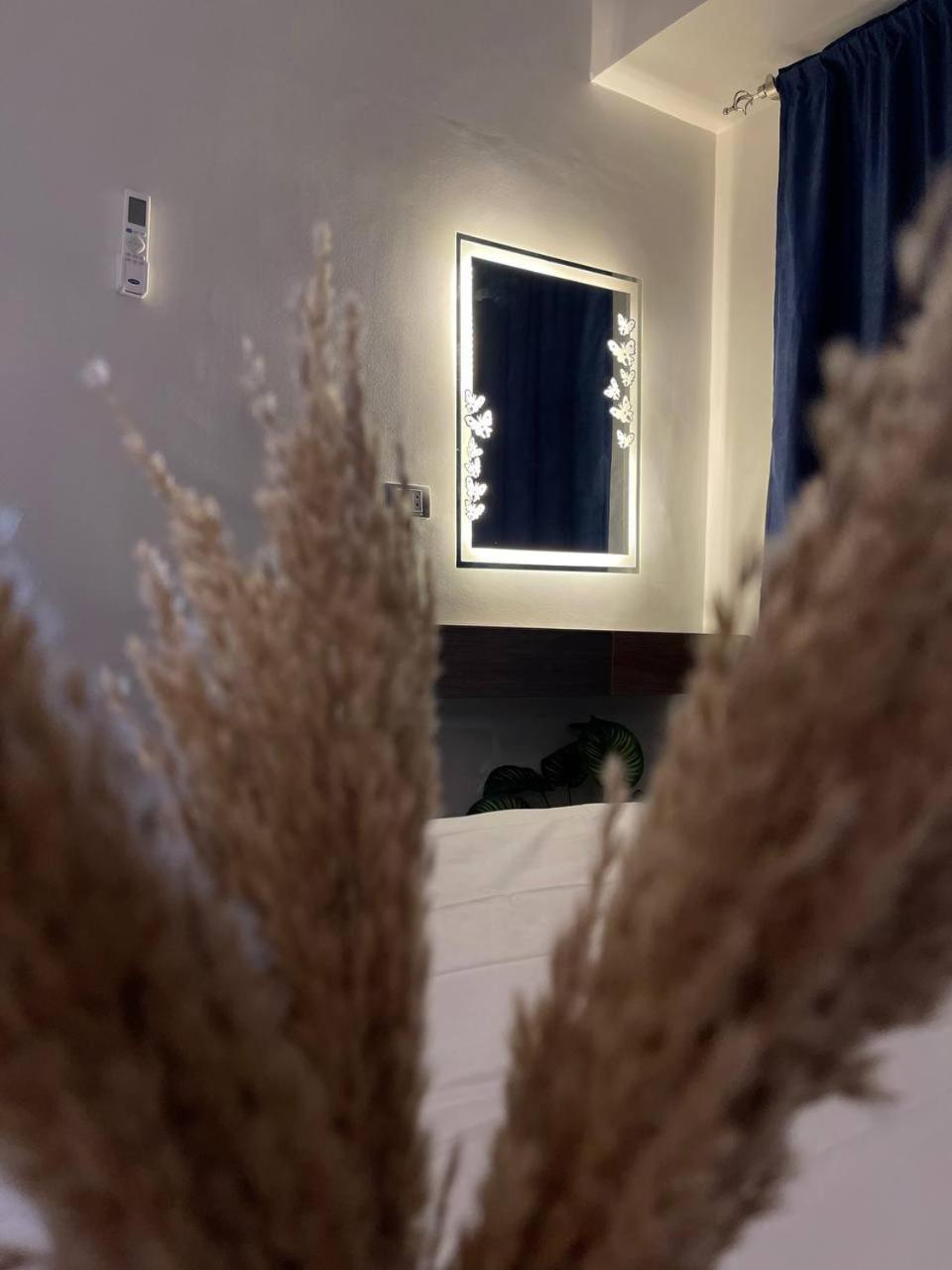 Nadasha guest house cairo view