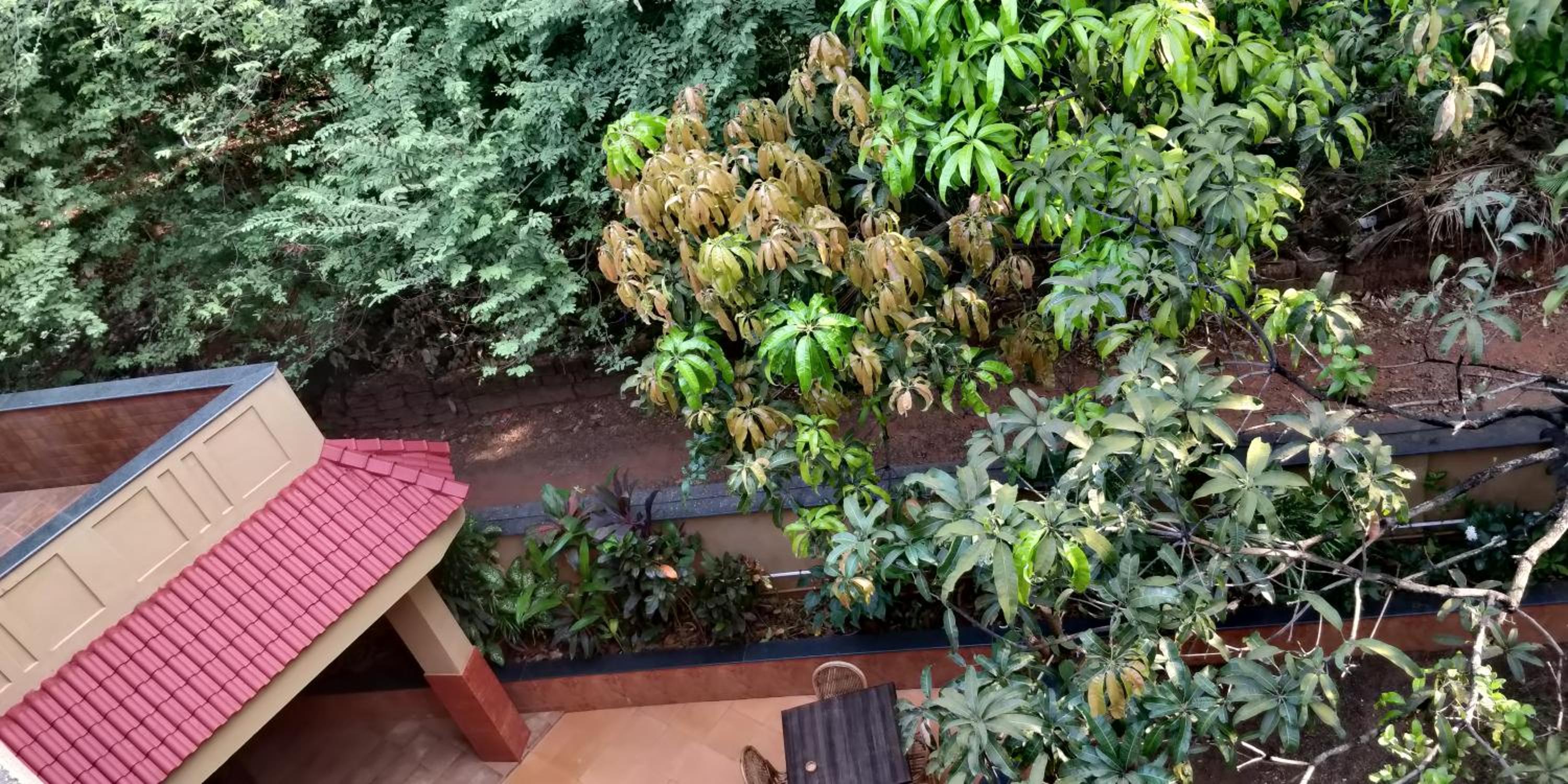 Saudades Beach Bungalow - Spacious, Perfect Location