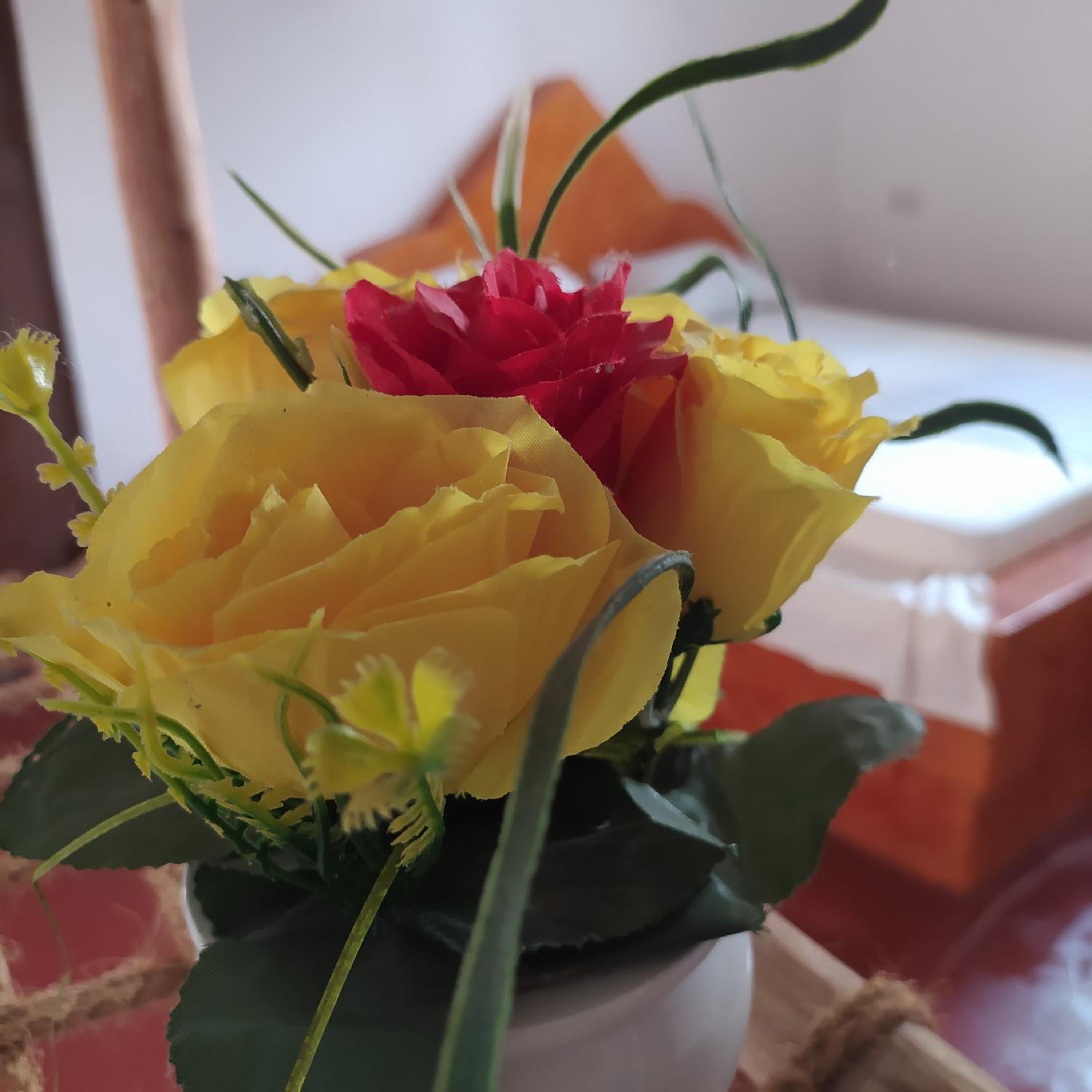 Photo 21