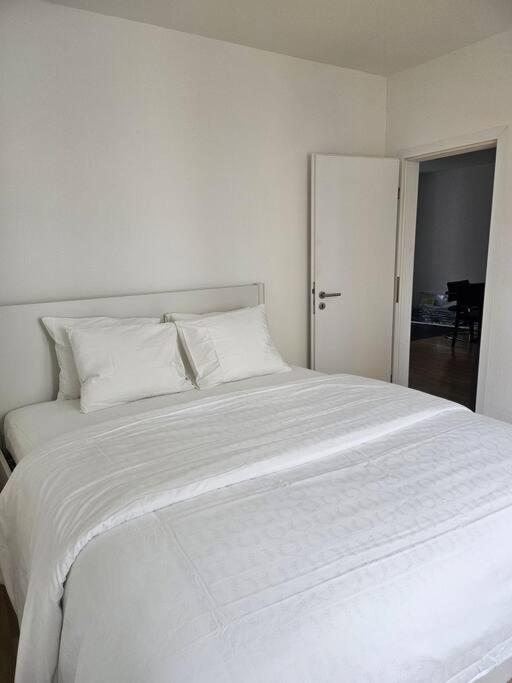 Cozy 2 Room- Zürich City Center