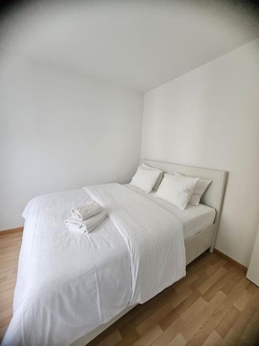 Cozy 2 Room- Zürich City Center