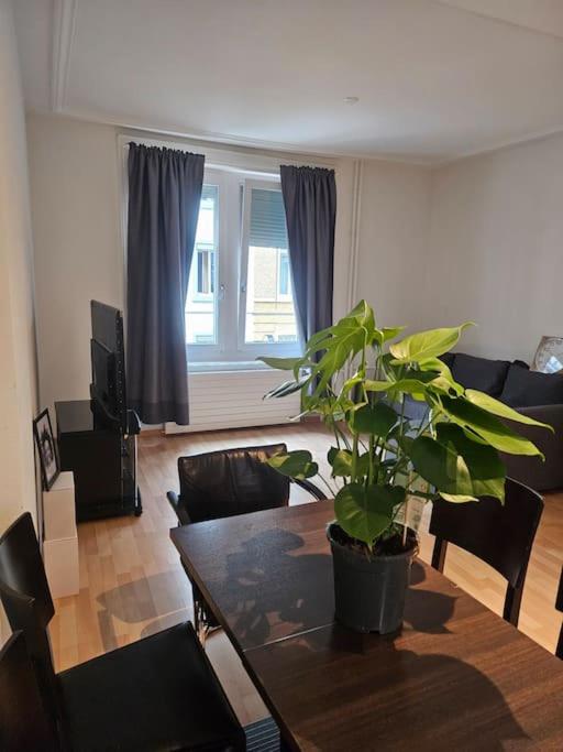 Cozy 2 Room- Zürich City Center