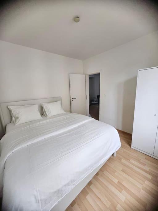 Cozy 2 Room- Zürich City Center
