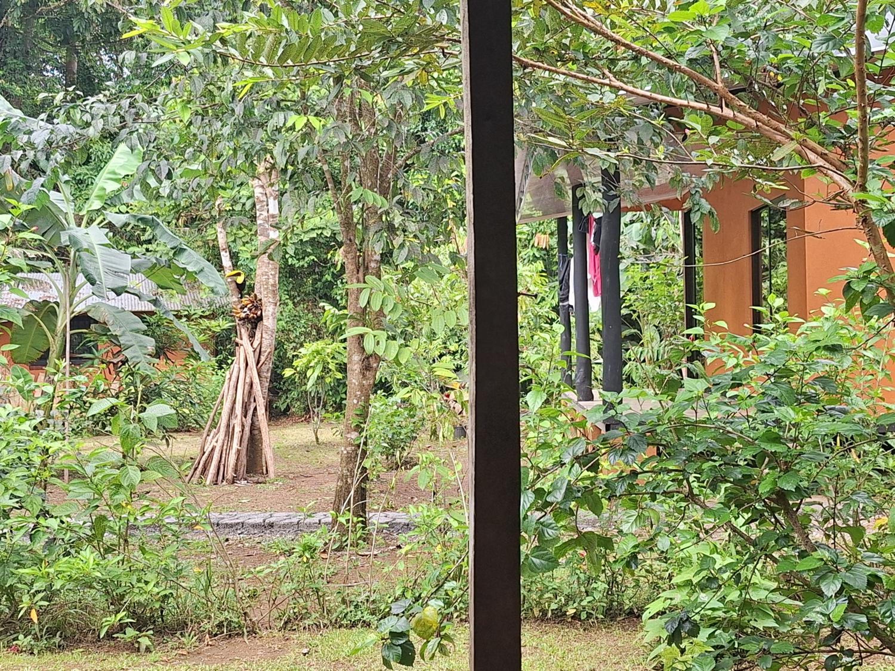 Cabinas Corcovado Green Parrot, Los Planes Drake