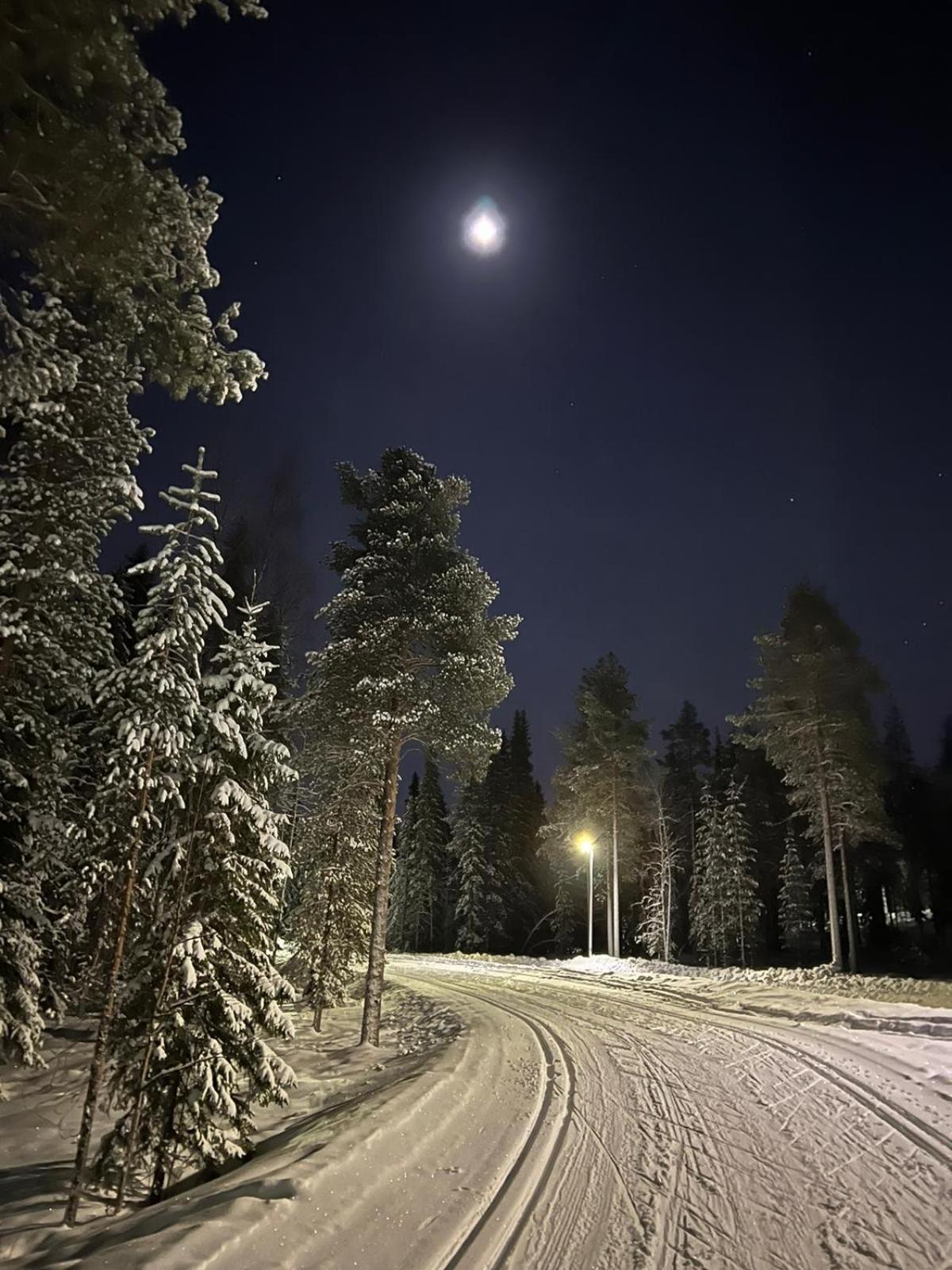 Kaamos City House