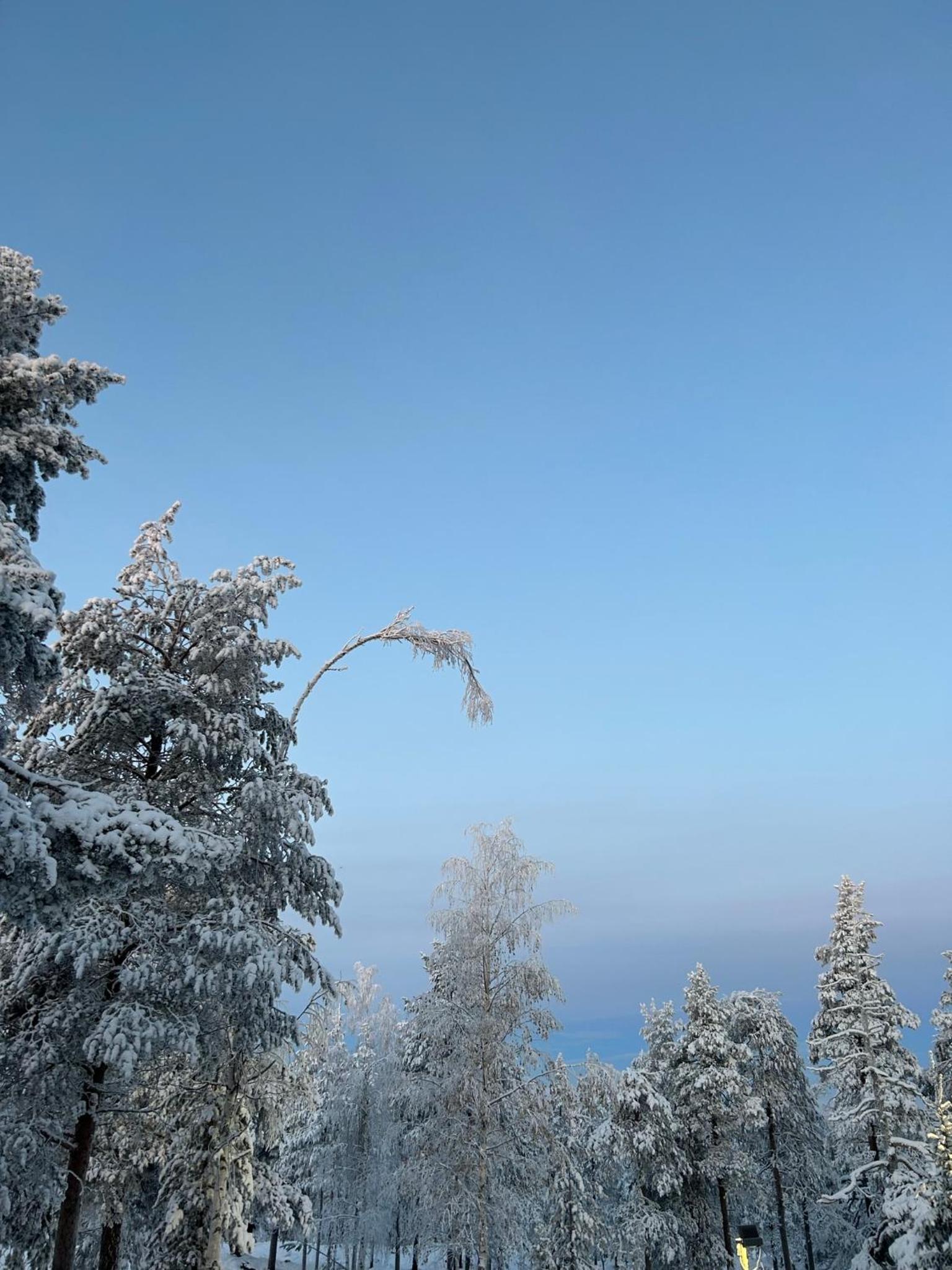 Kaamos City House