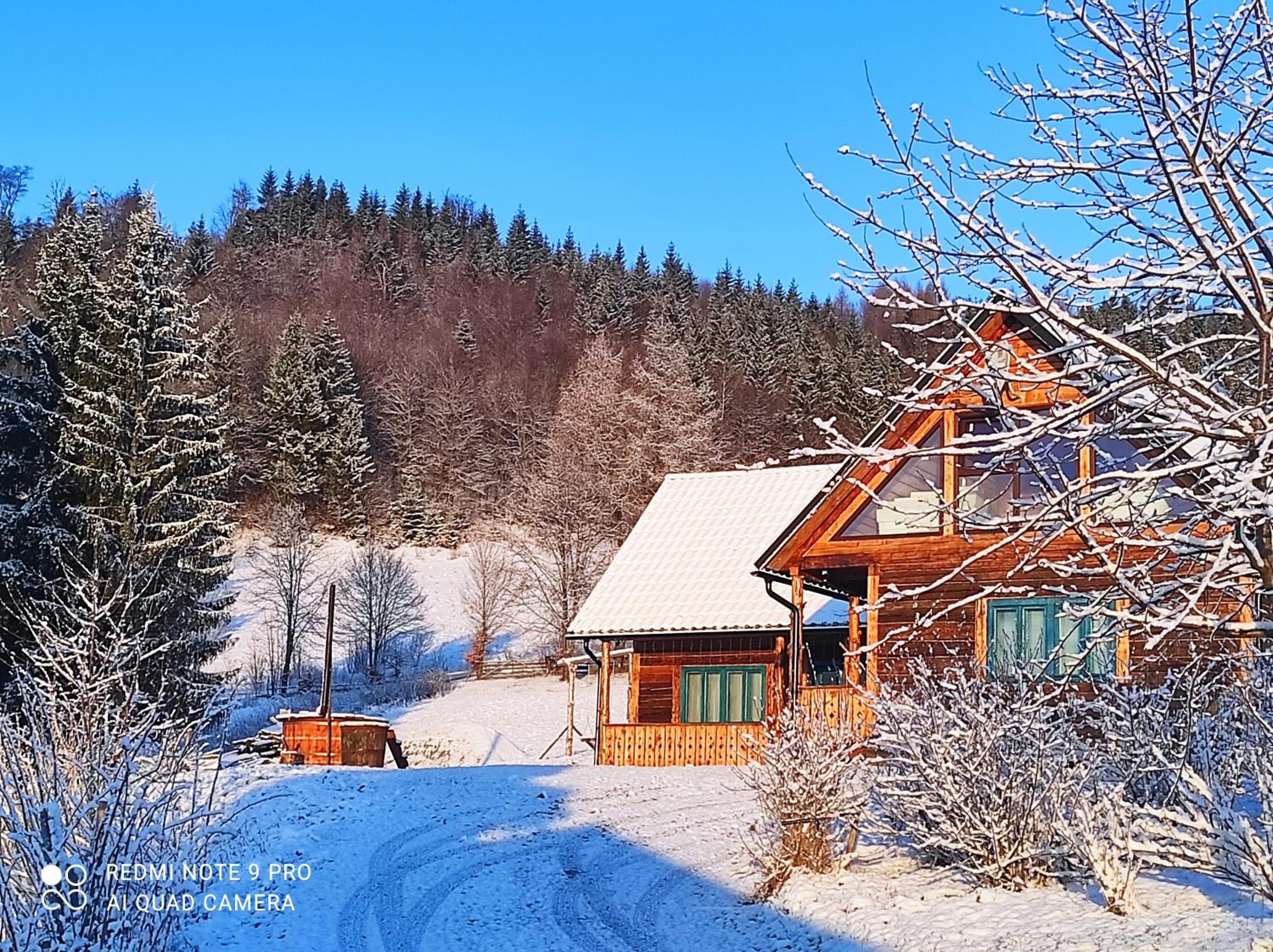 Căsuța de la munte view 2