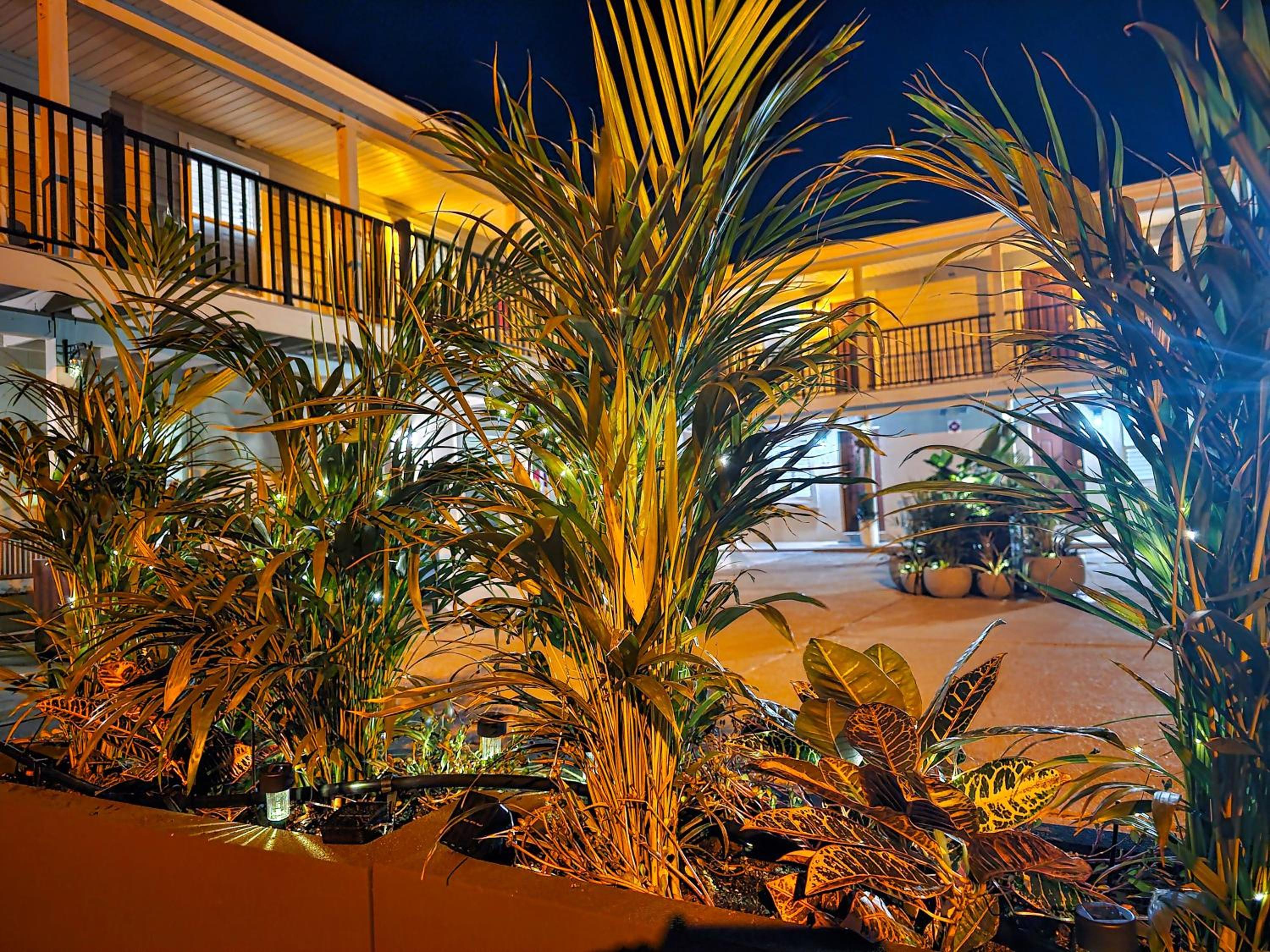 Beach 5 Villas on Amelia Island steps to the Ocean view 2