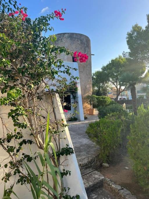 Encantador Molino con piscina