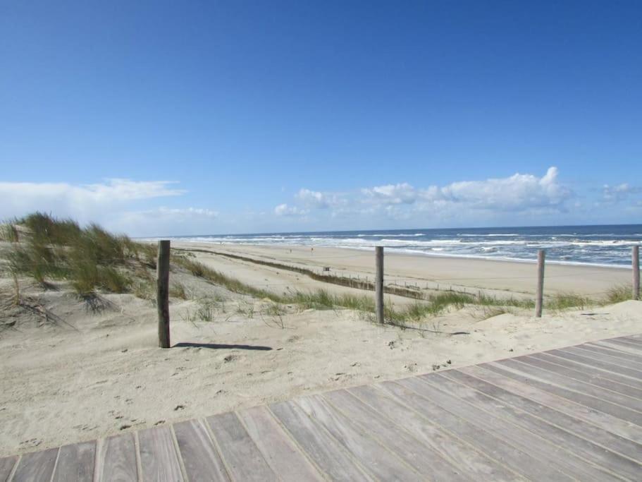 Het Zeepaardje Petten aan Zee view 2