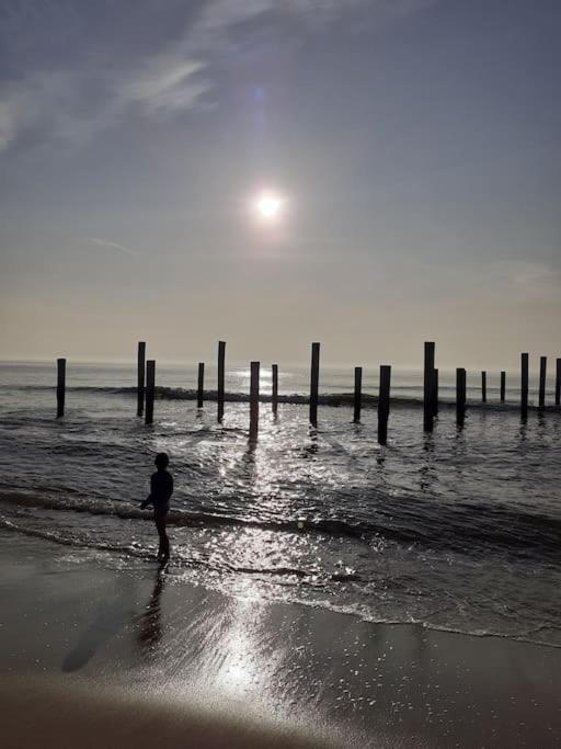 Het Zeepaardje Petten aan Zee view 4