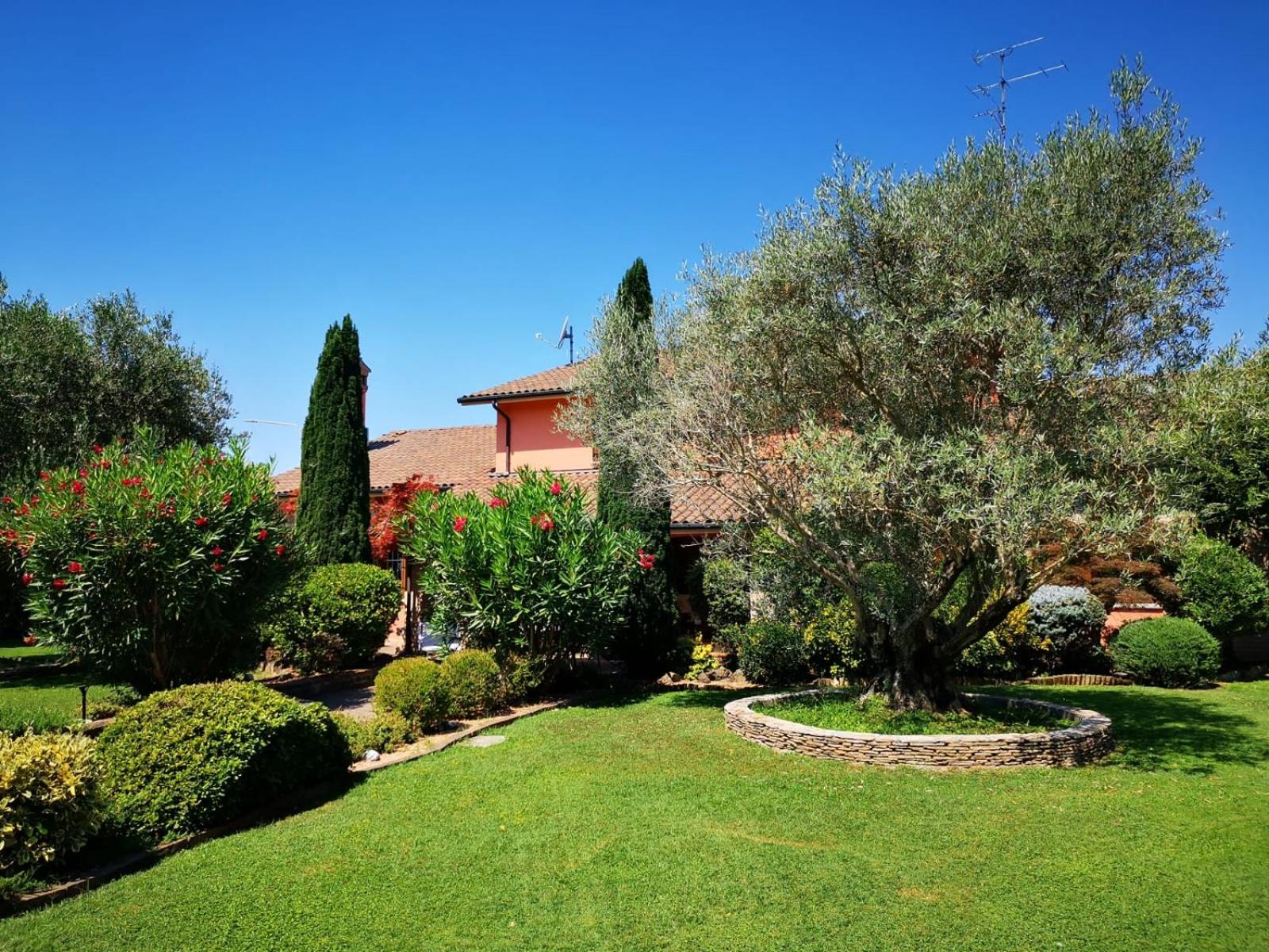 Photo 6