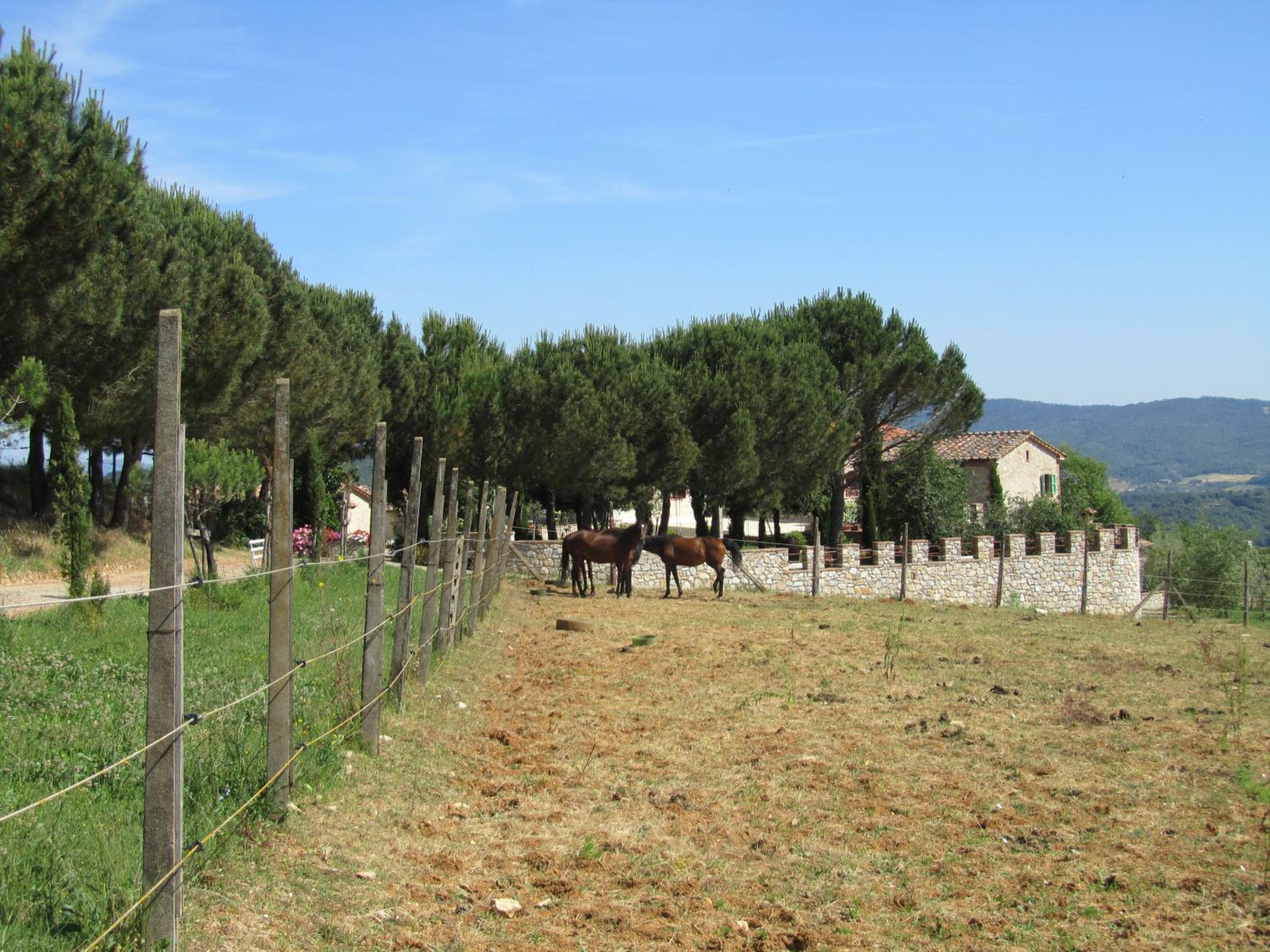 Agriturismo Borghetto Il Montino