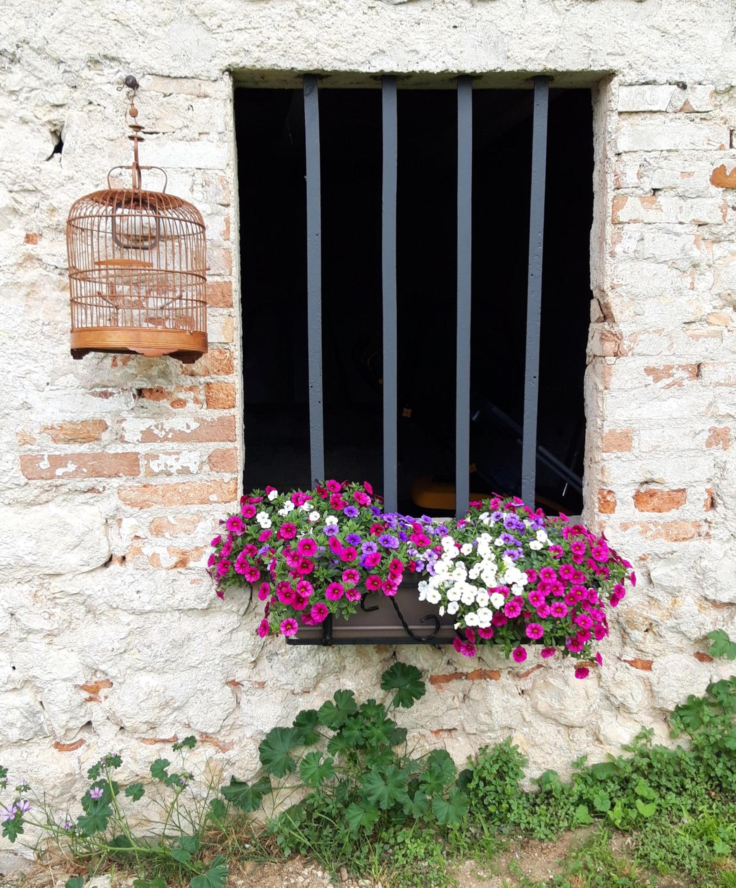 Casa Paola