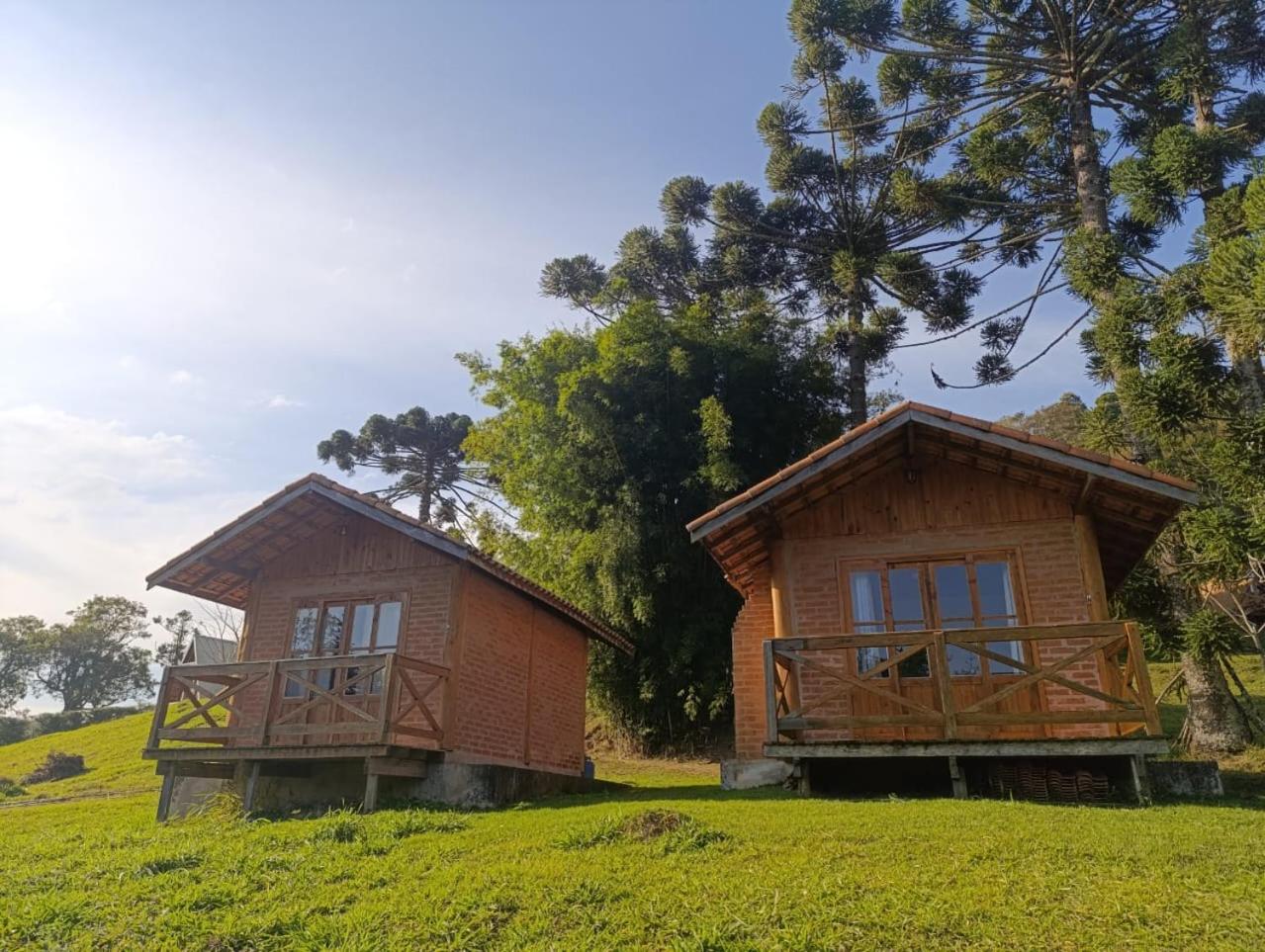Solar dos Pinhais view 5