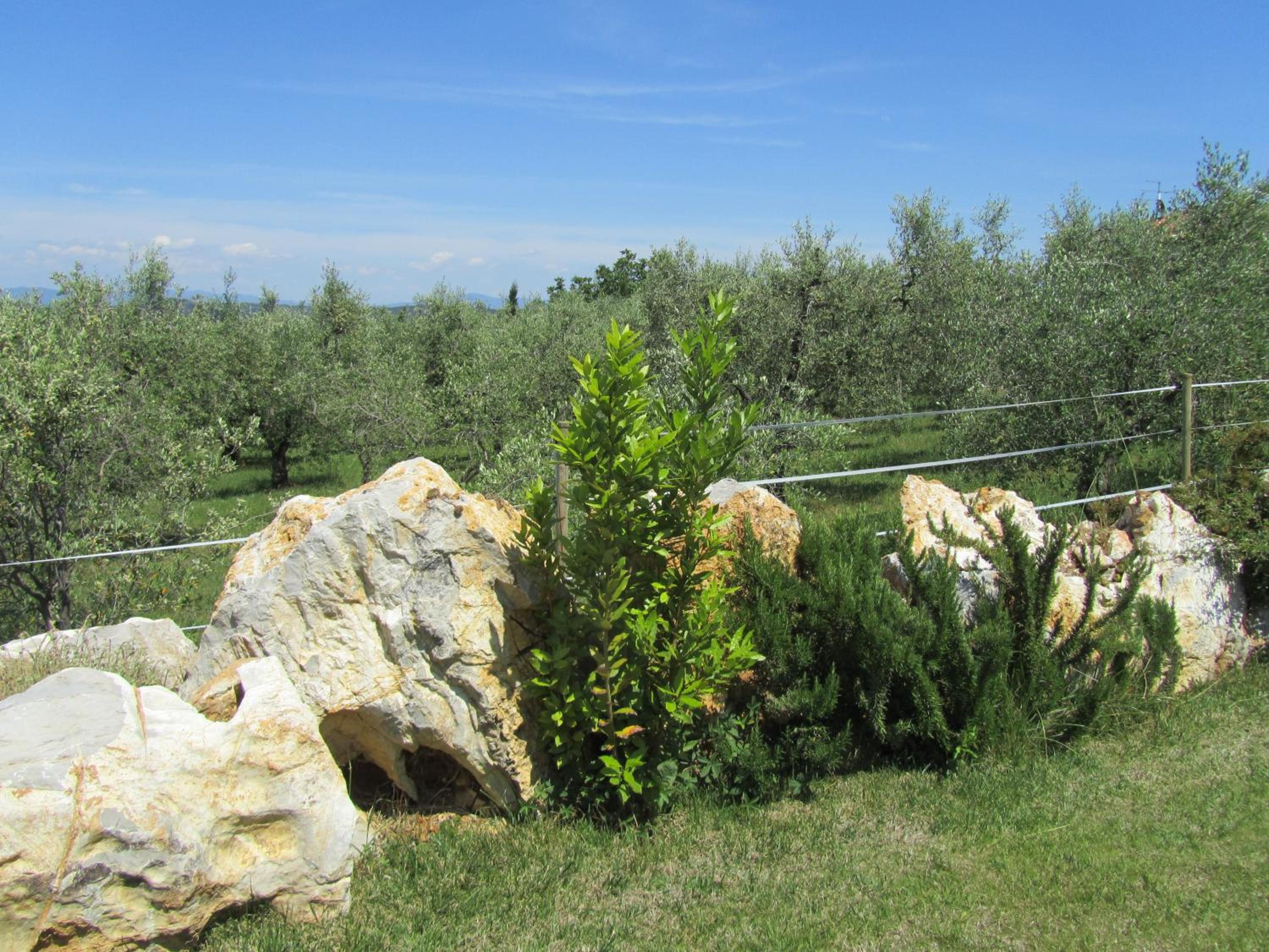 Agriturismo Borghetto Il Montino