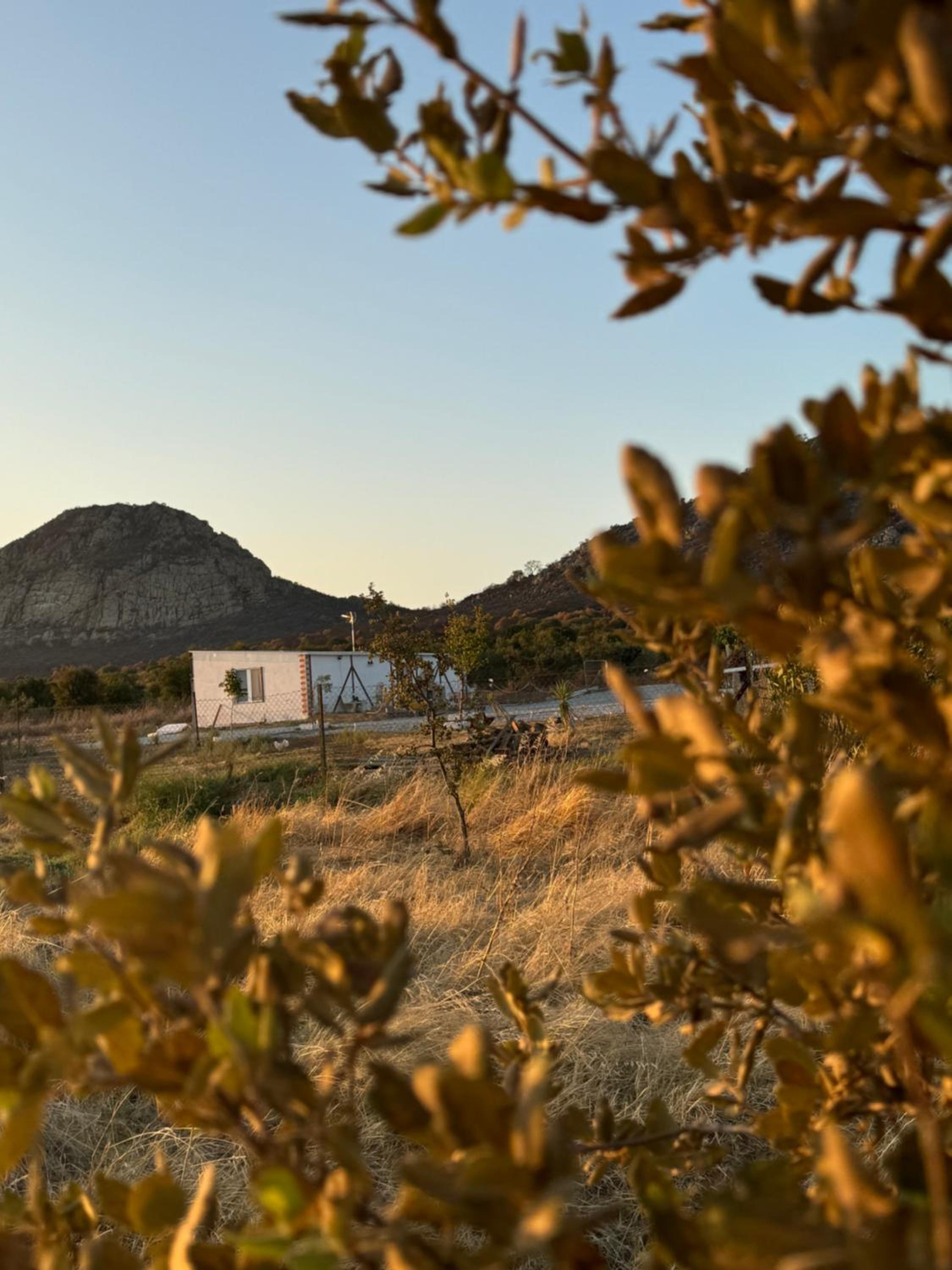 Casa Rural MaciasDehesa
