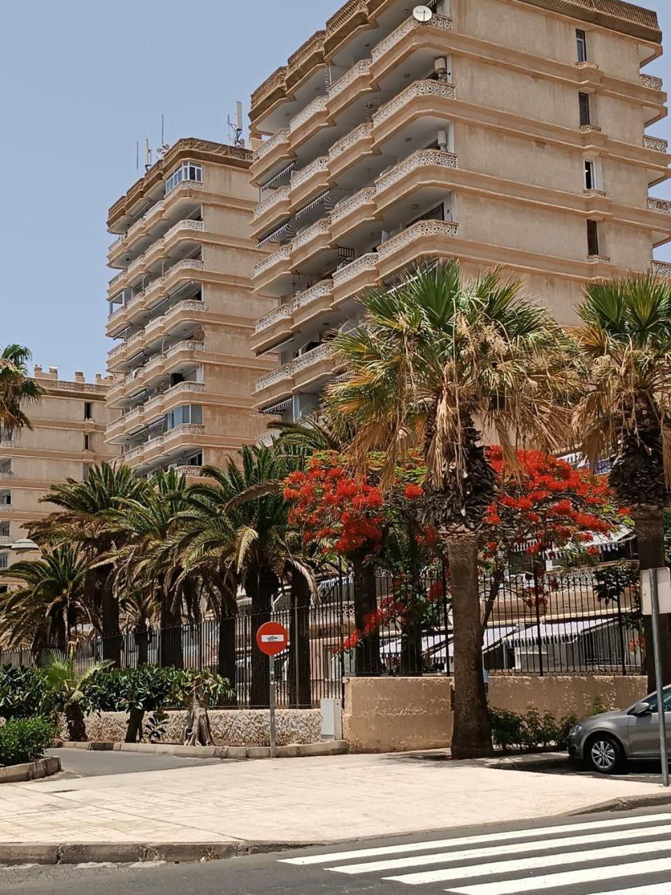 Tenerifeshouthbeach